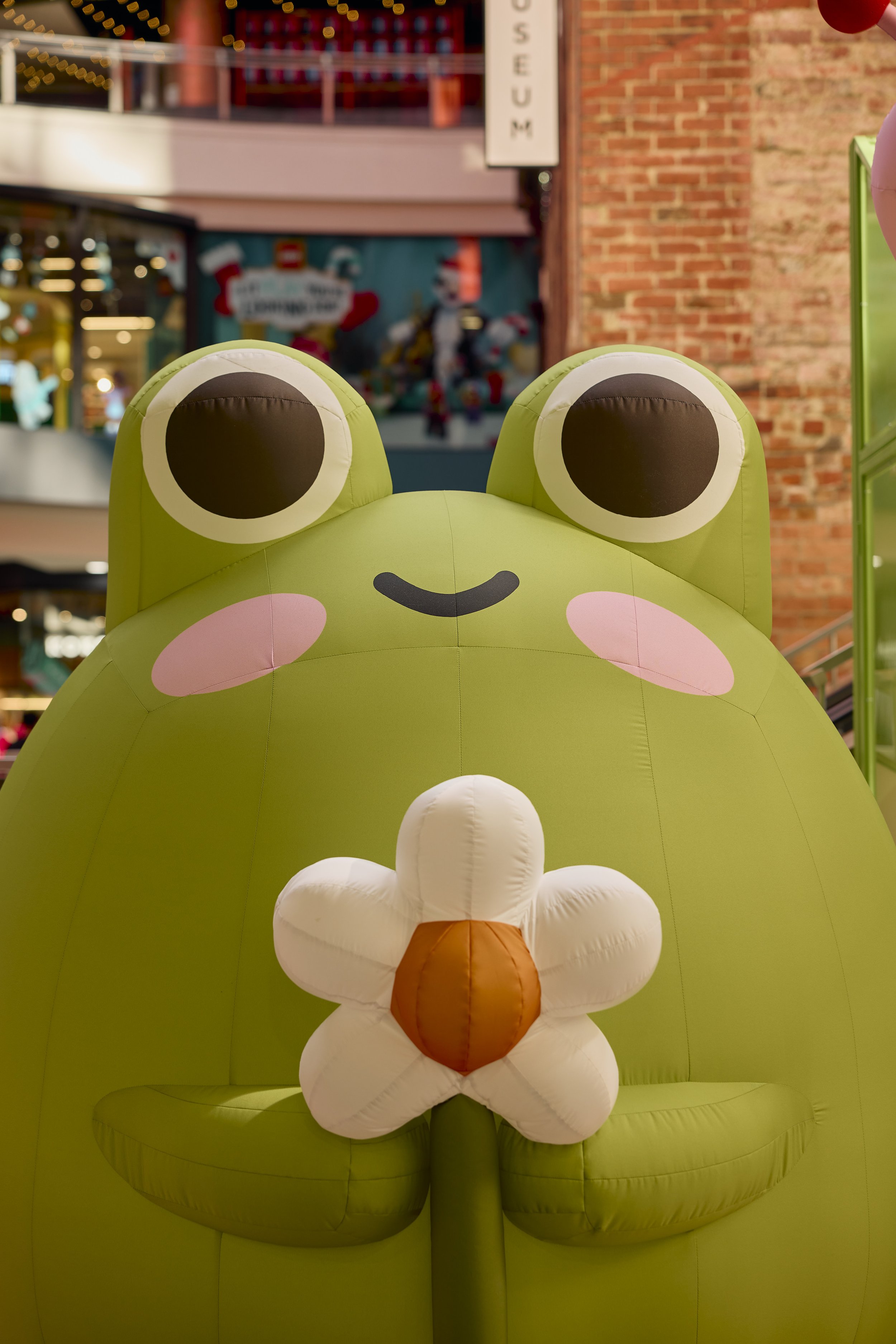 Merchandise area for my upcoming exhibition, “Bloom” on display December 20th