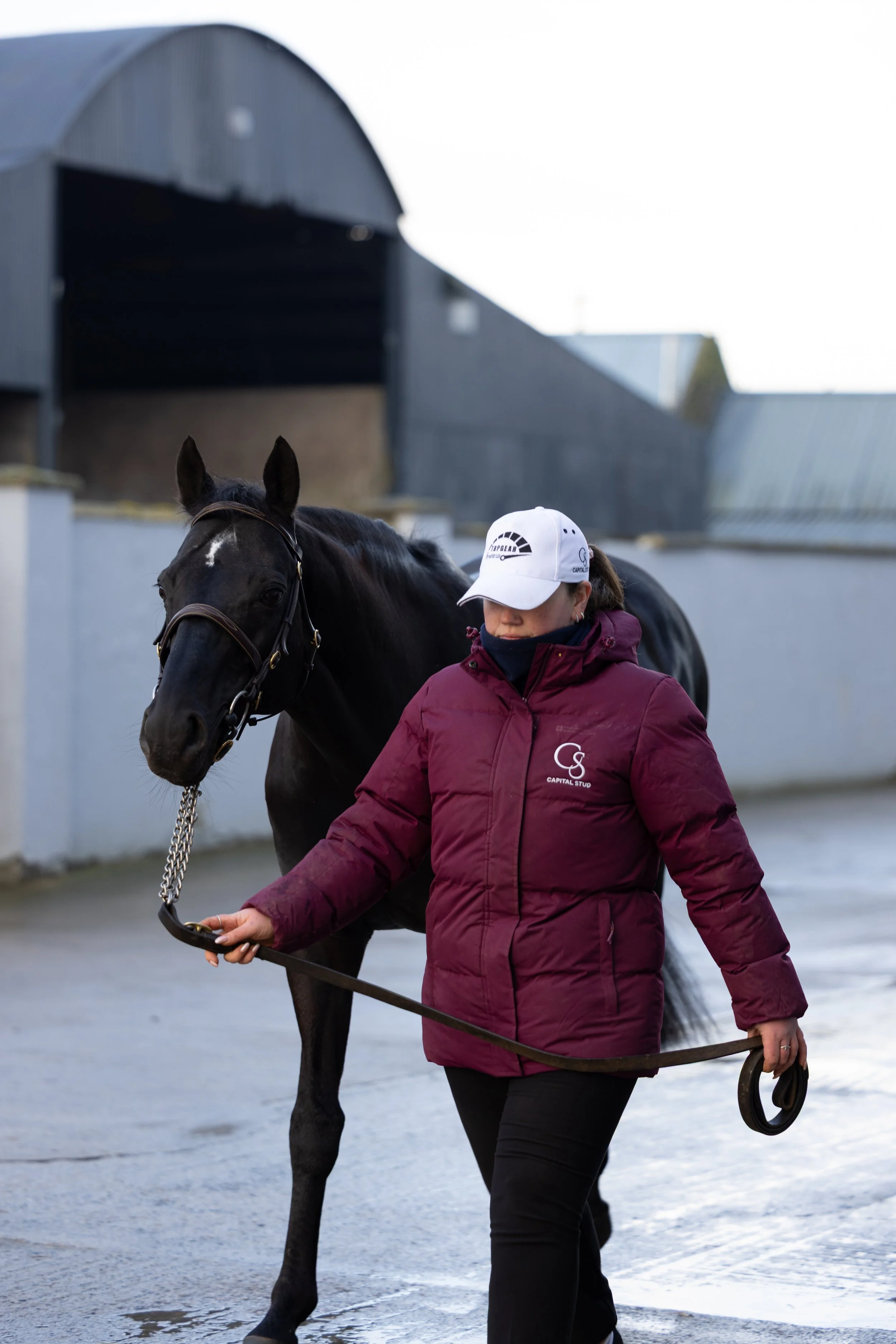 Majborough Dominates Dublin Chase in Stunning Grade 1 Display