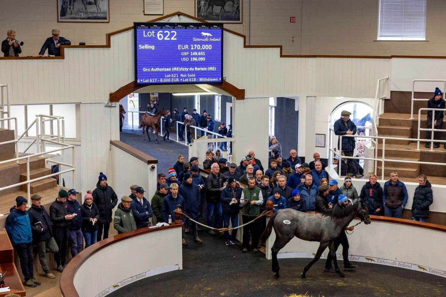 Authorized 170k colt.jpeg