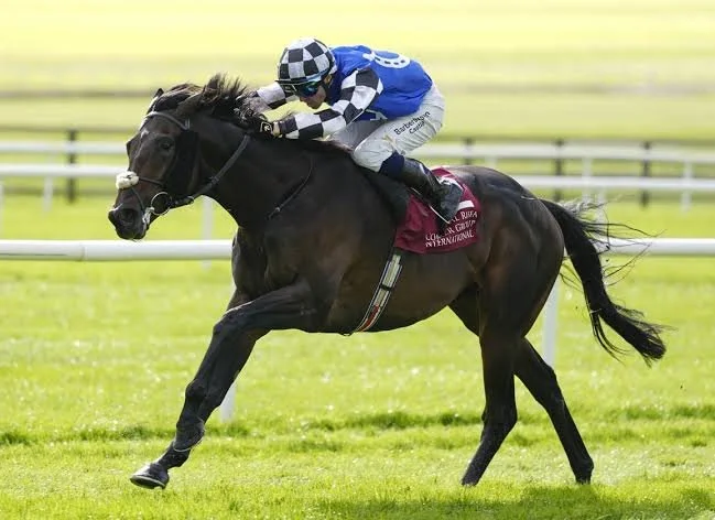 Good Morning Bloodstock: My Prospero &amp; Al Riffa