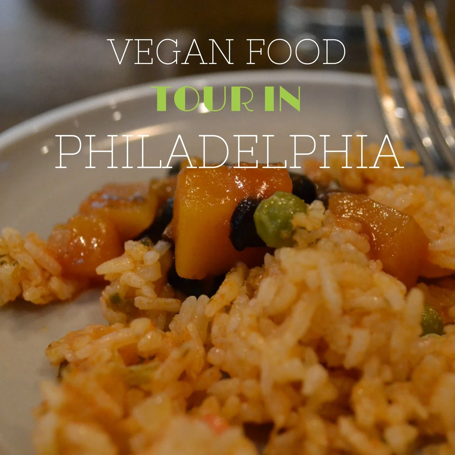 My Vegan Food Tour In Philadelphia PA