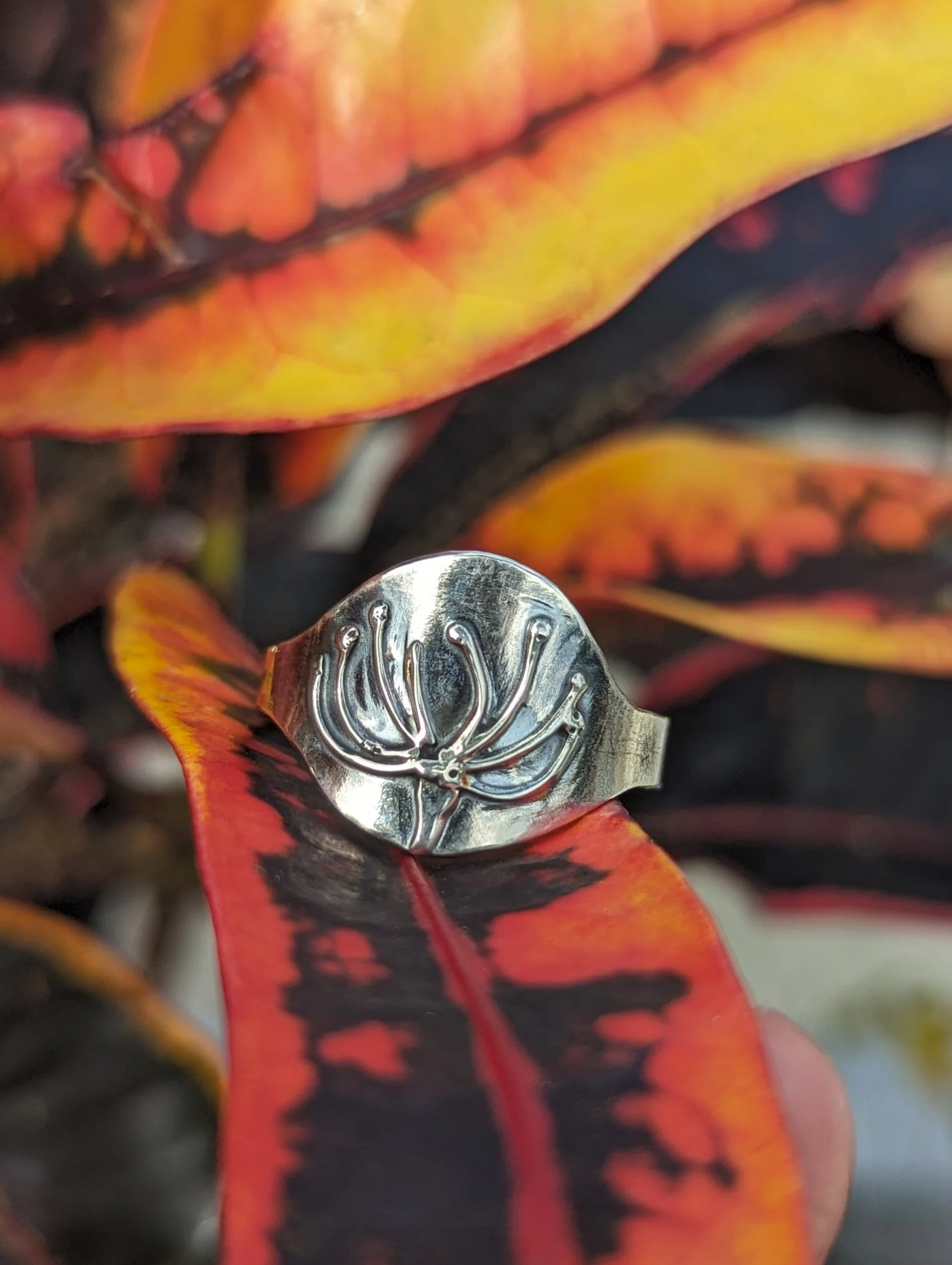 Ohia Lehua Ring