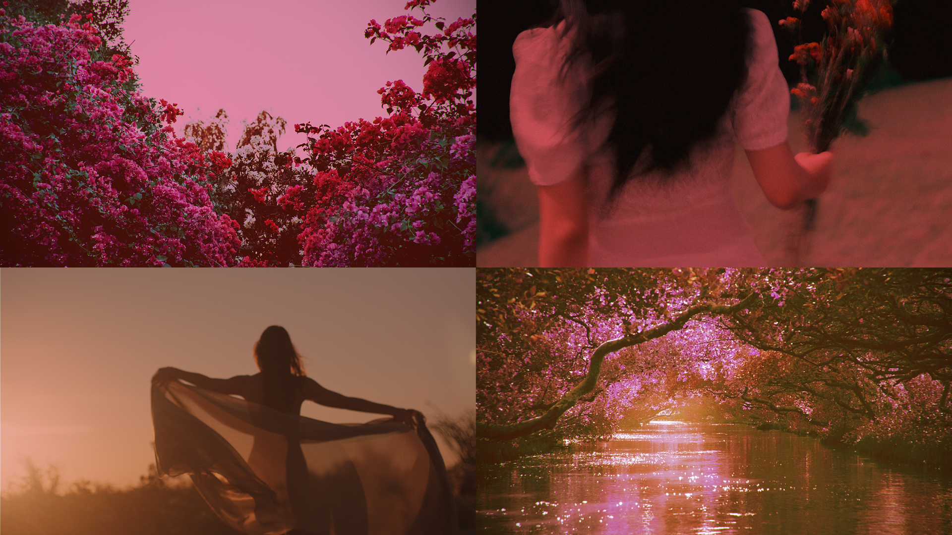 Four photos demonstrating the color grading edits done to convey the emotional warmth of Bare Essence: landscape foliage, a woman with bouquet, and a woman facing the sun with her arms outstretched and a river and foliage landscape. 
