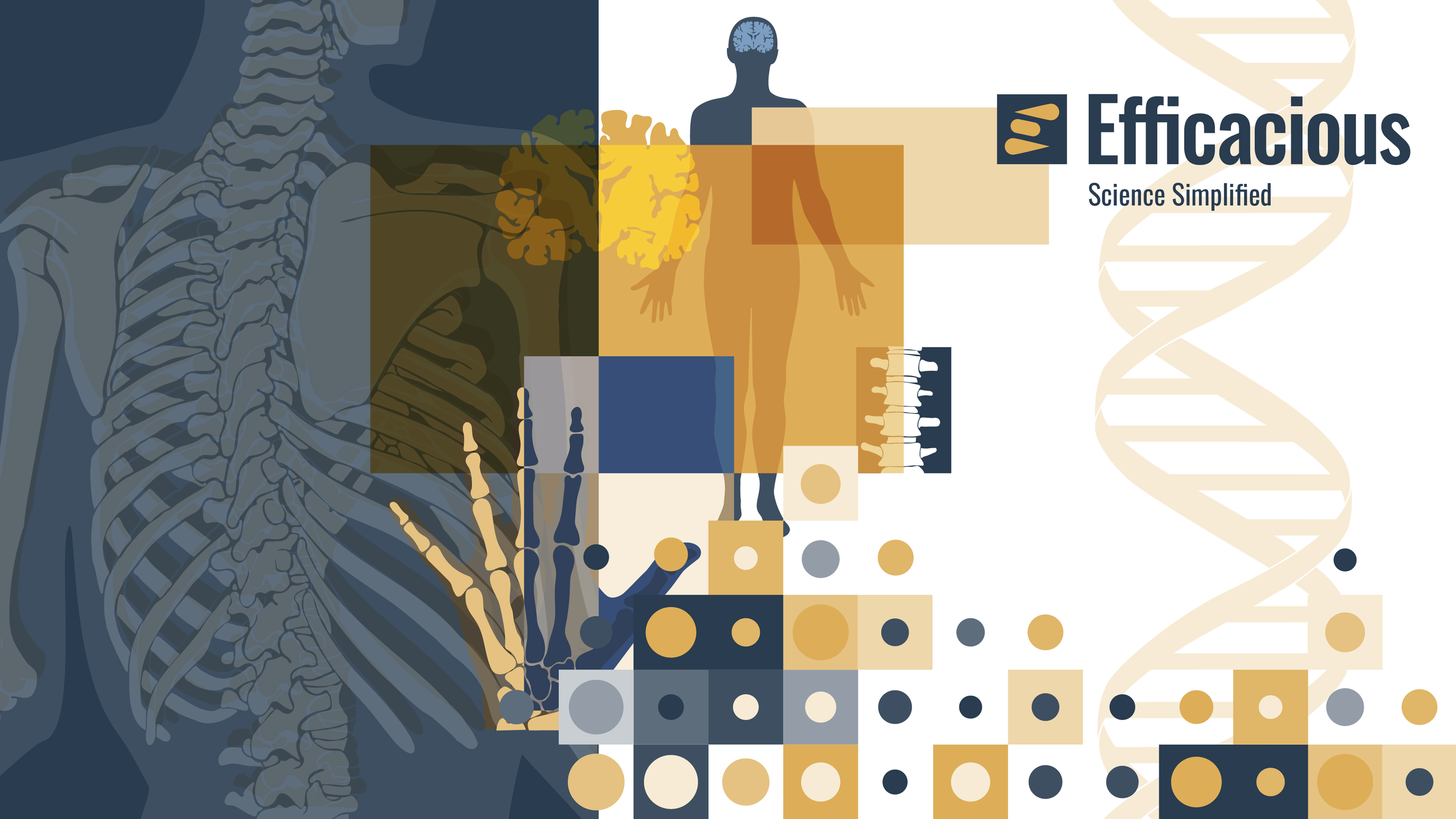 Collage of Efficacious brand patterns and scientific illustrations, including an x‑ray, a hand, a spine, a double helix, and a brain diagram.