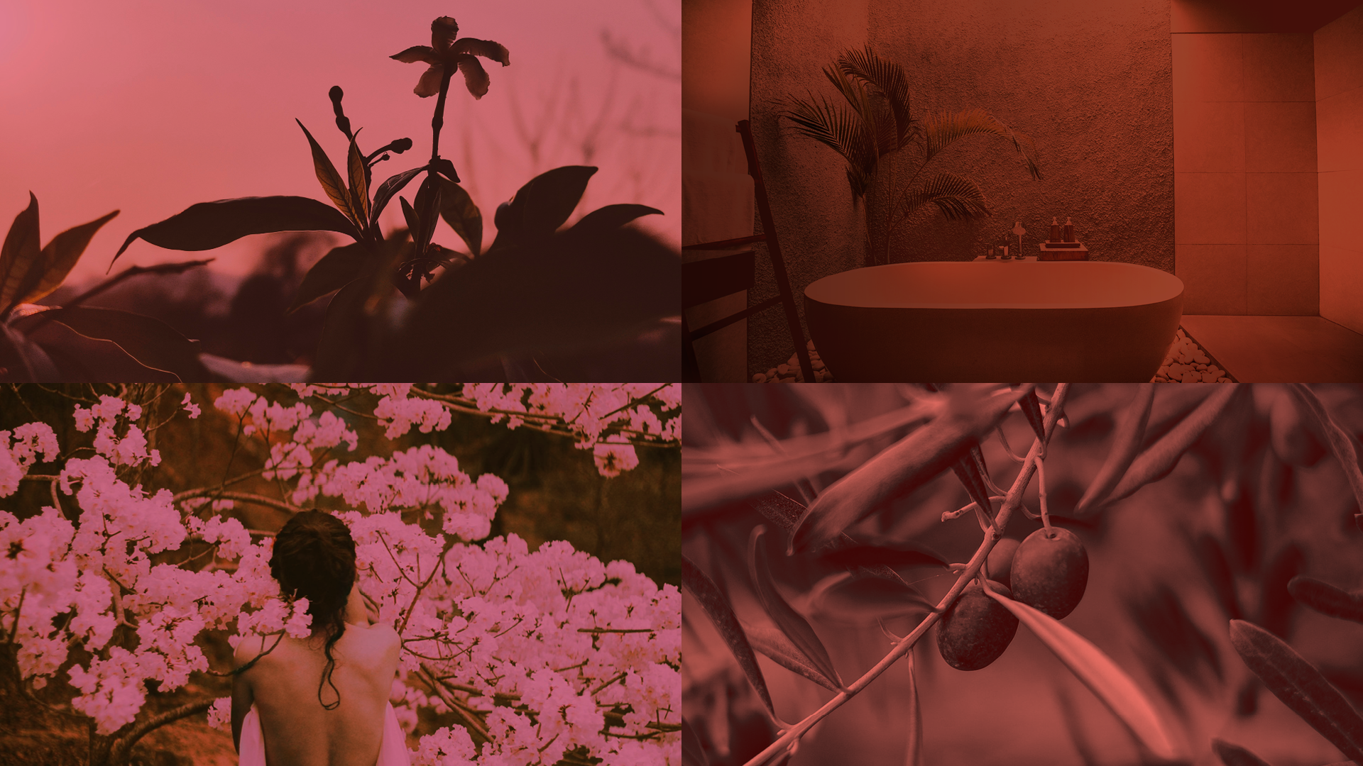 Four photos demonstrating the color grading edits done to convey the emotional warmth of Bare Essence: foliage, a spa, and a woman facing a blooming tree.