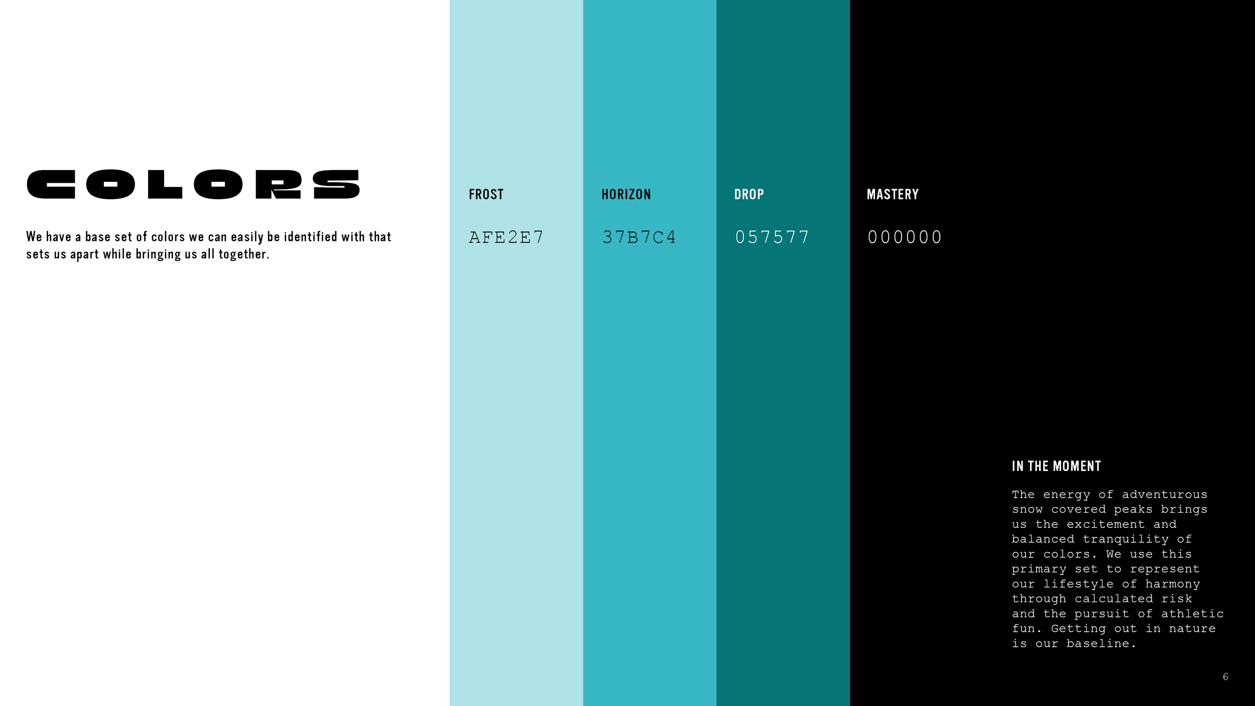 Color palette page from the VASI brand identity guide, showing vertical bars with the brand’s teal color values and a brief explanation of the monochromatic scheme.