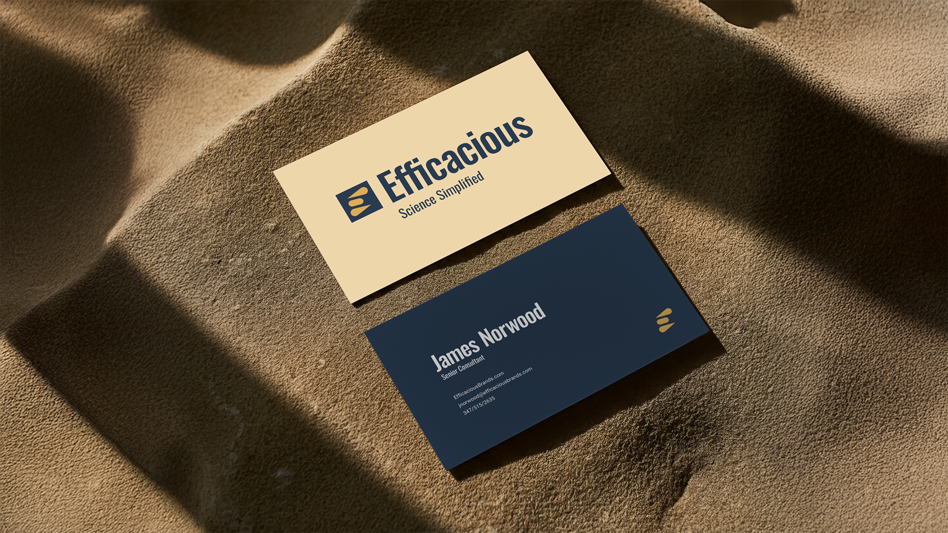 Clean minimalist business card design mockup showing both sides featuring the symbolic Efficacious logo in brand colors on a natural background.