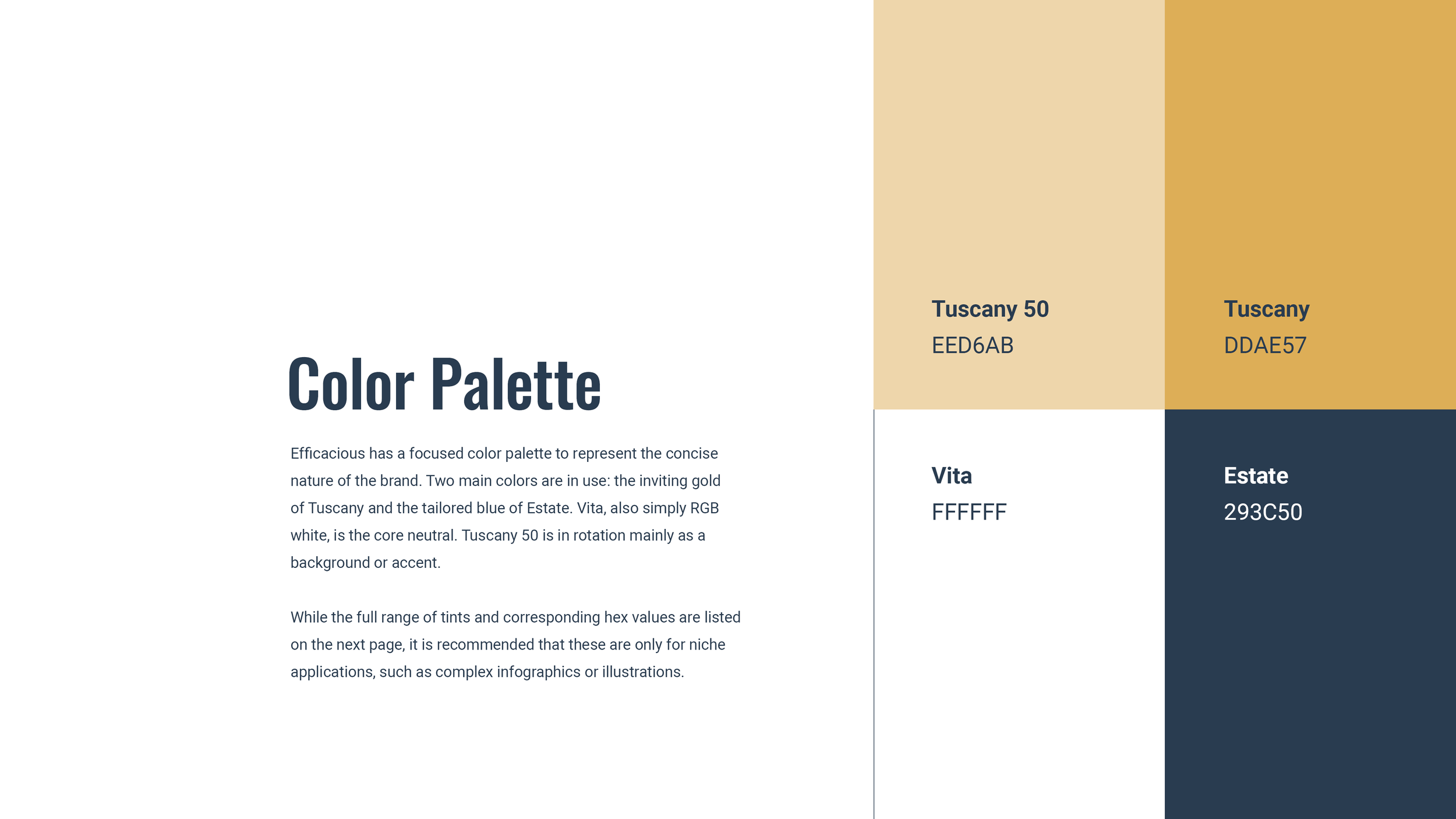 Primary Efficacious color palette shown in a clean minimalist layout with brief descriptions of what each color represents.