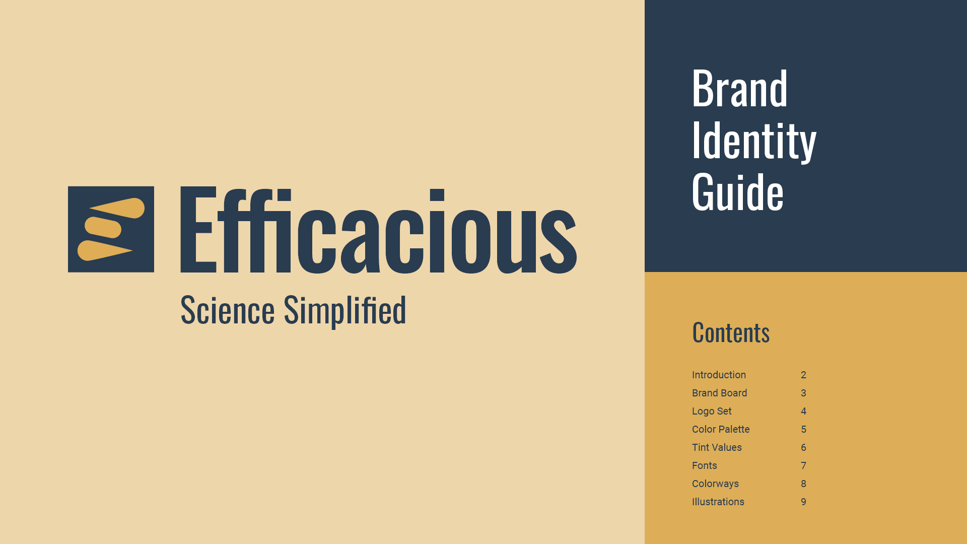 Brand identity guide cover design for Efficacious with primary logo, a table of contents and a color block grid.