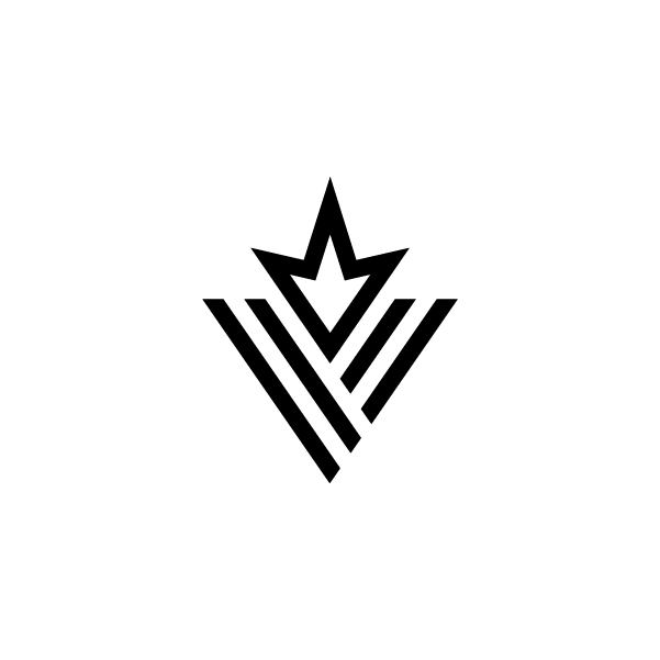 Minimalist abstract logo featuring a V‑shaped form with a nested bird silhouette that also resembles a crown, suggesting slopes, motion, and speed for a snowboarding brand.