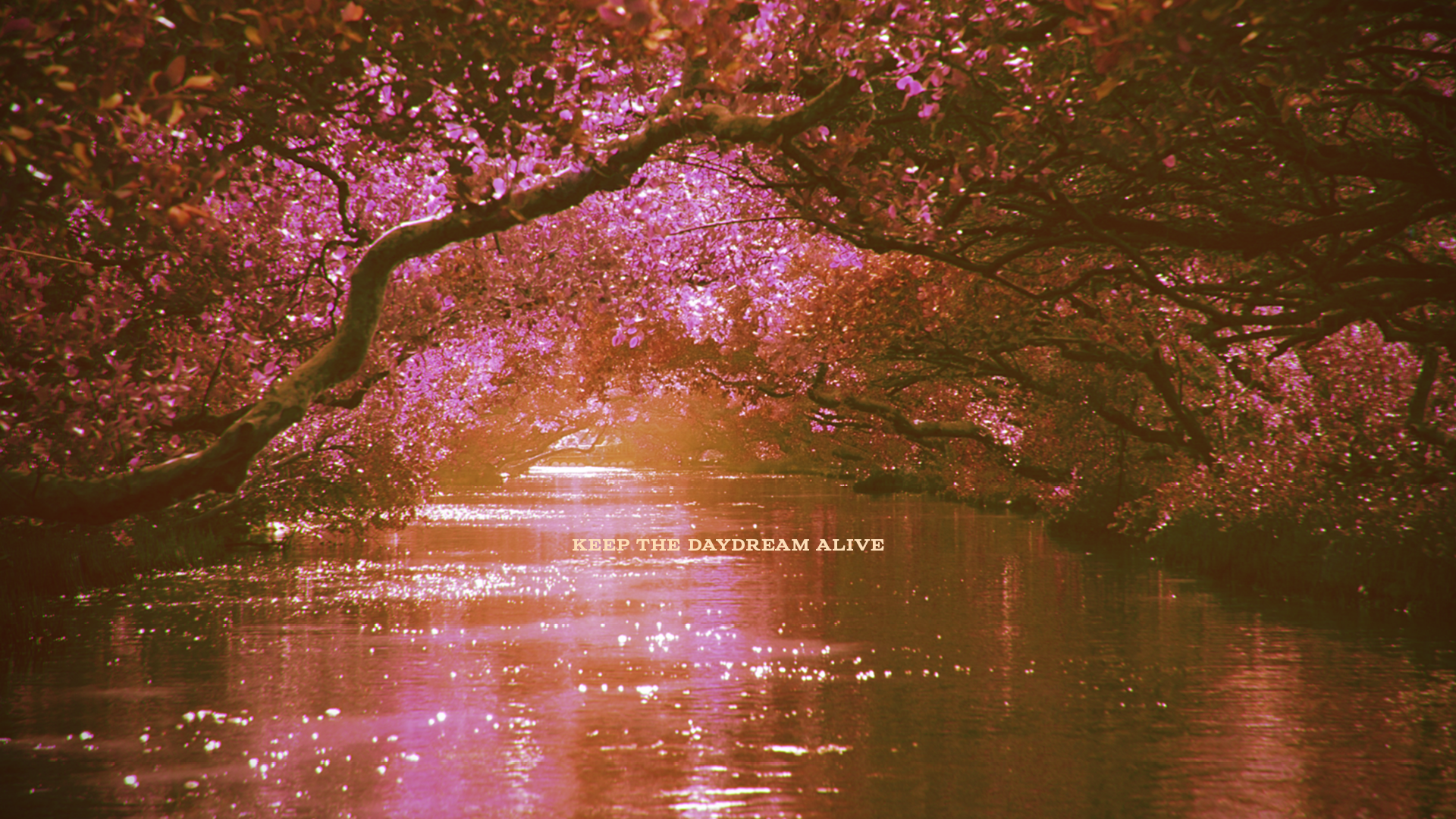 Dreamy landscape featuring a pink and gradient color grading with a philosophy of Bare Essence: Keep the daydream alive.