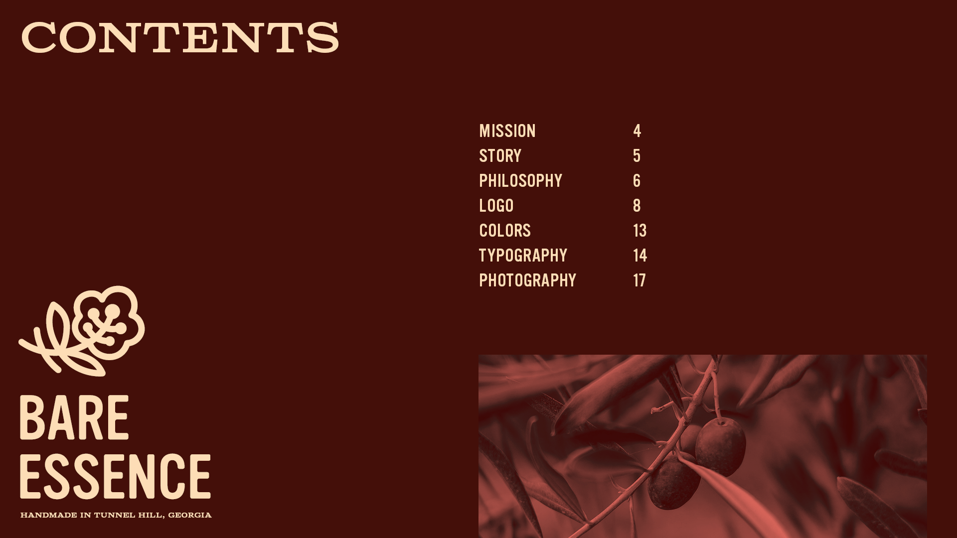 Table of Contents for the Bare Essence brand identity guide featuring brand mission, story, philosophy, logo, colors, typography and photography sections with a brown background and an olive branch closeup.