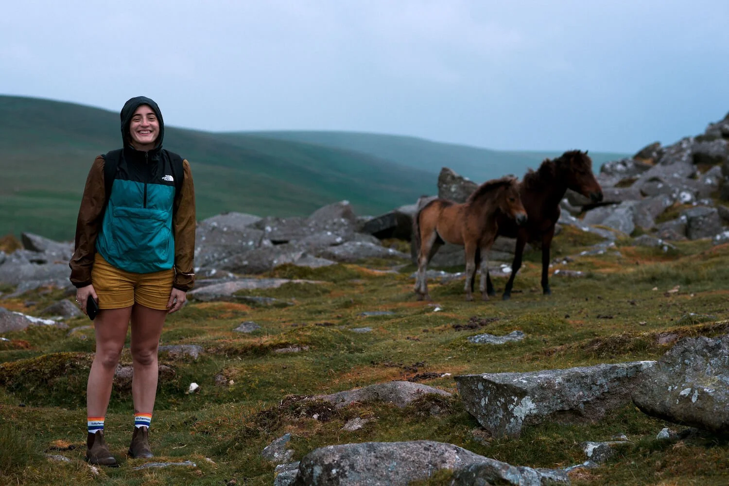 DSC_2338-1_Original.JPG