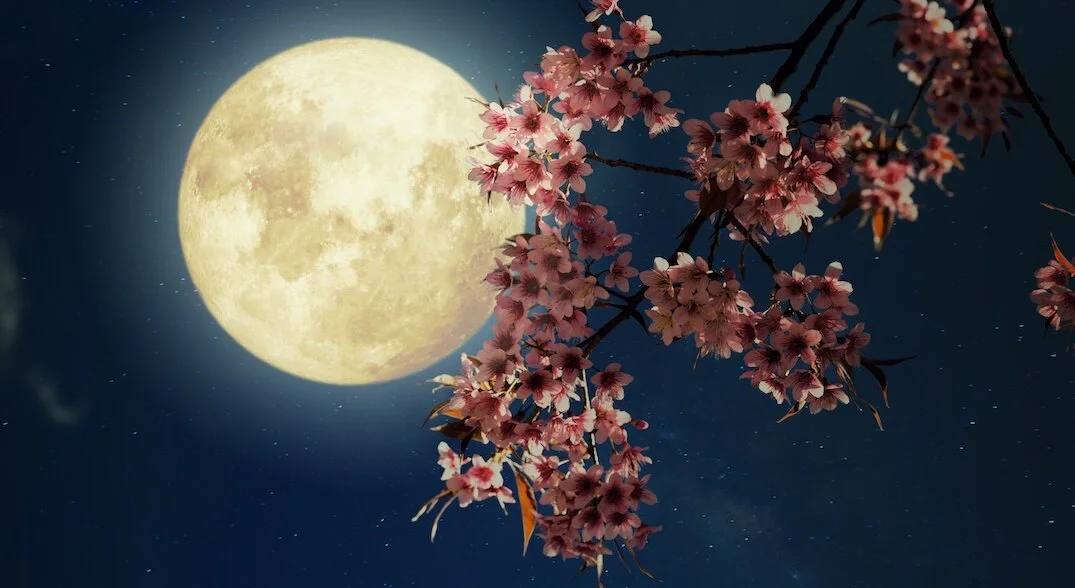 Full Moon Livestream Workshop