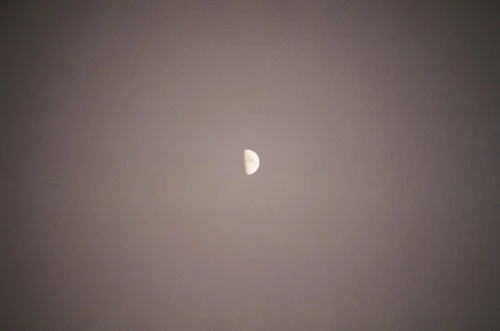 C9E0544E-F7F5-4719-BE62-DDD0B2551504.jpeg