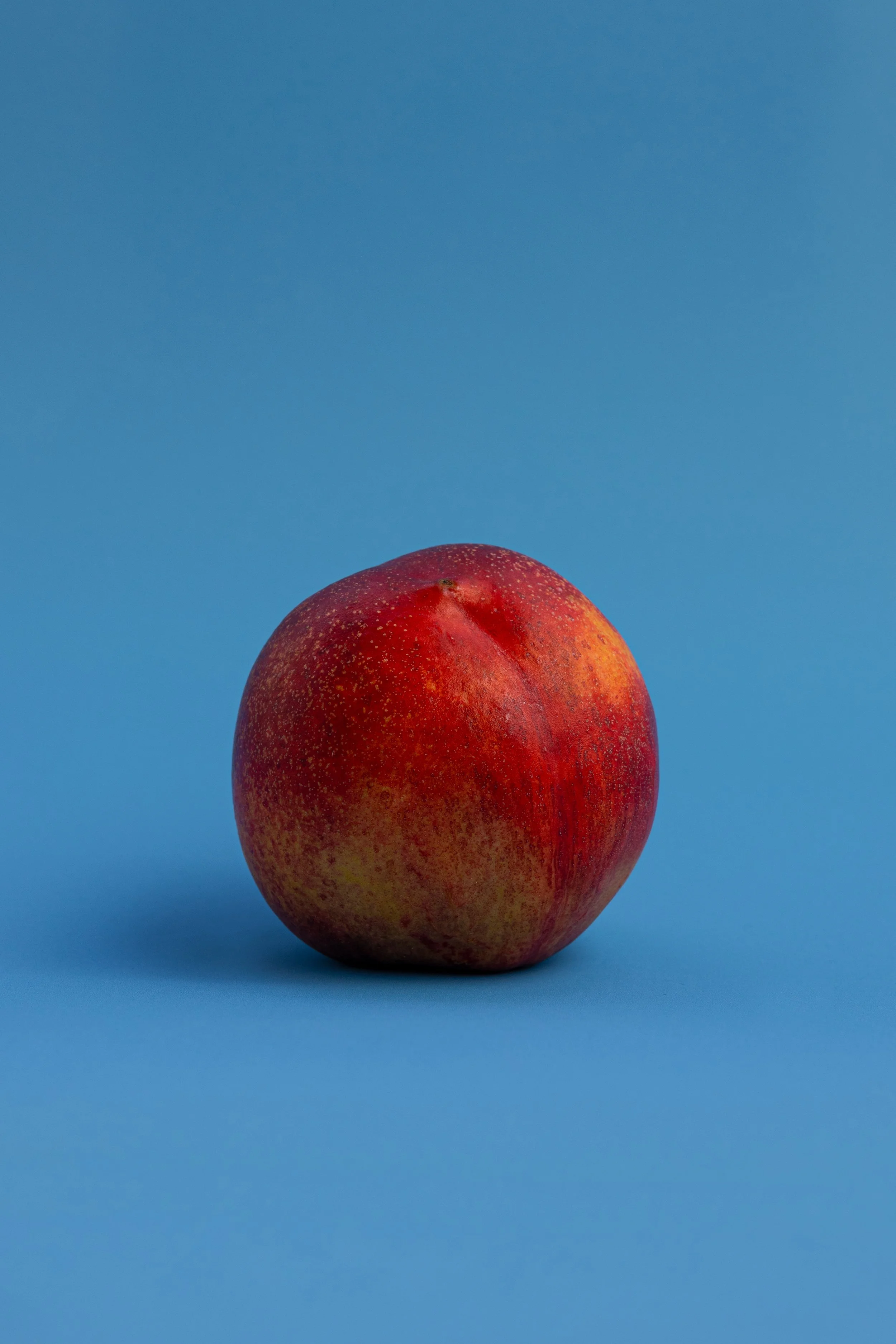 858A3967.jpg