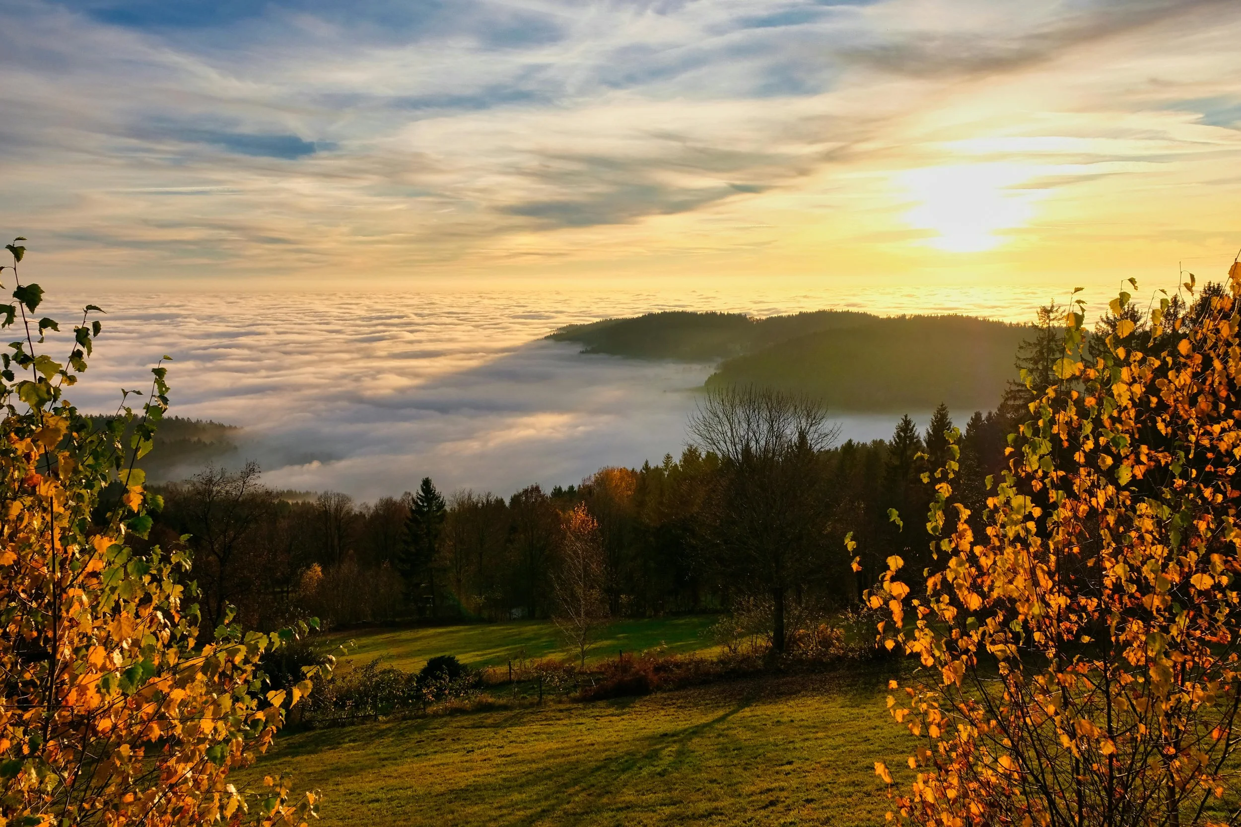 Part 1: Clarity for the Changing Seasons