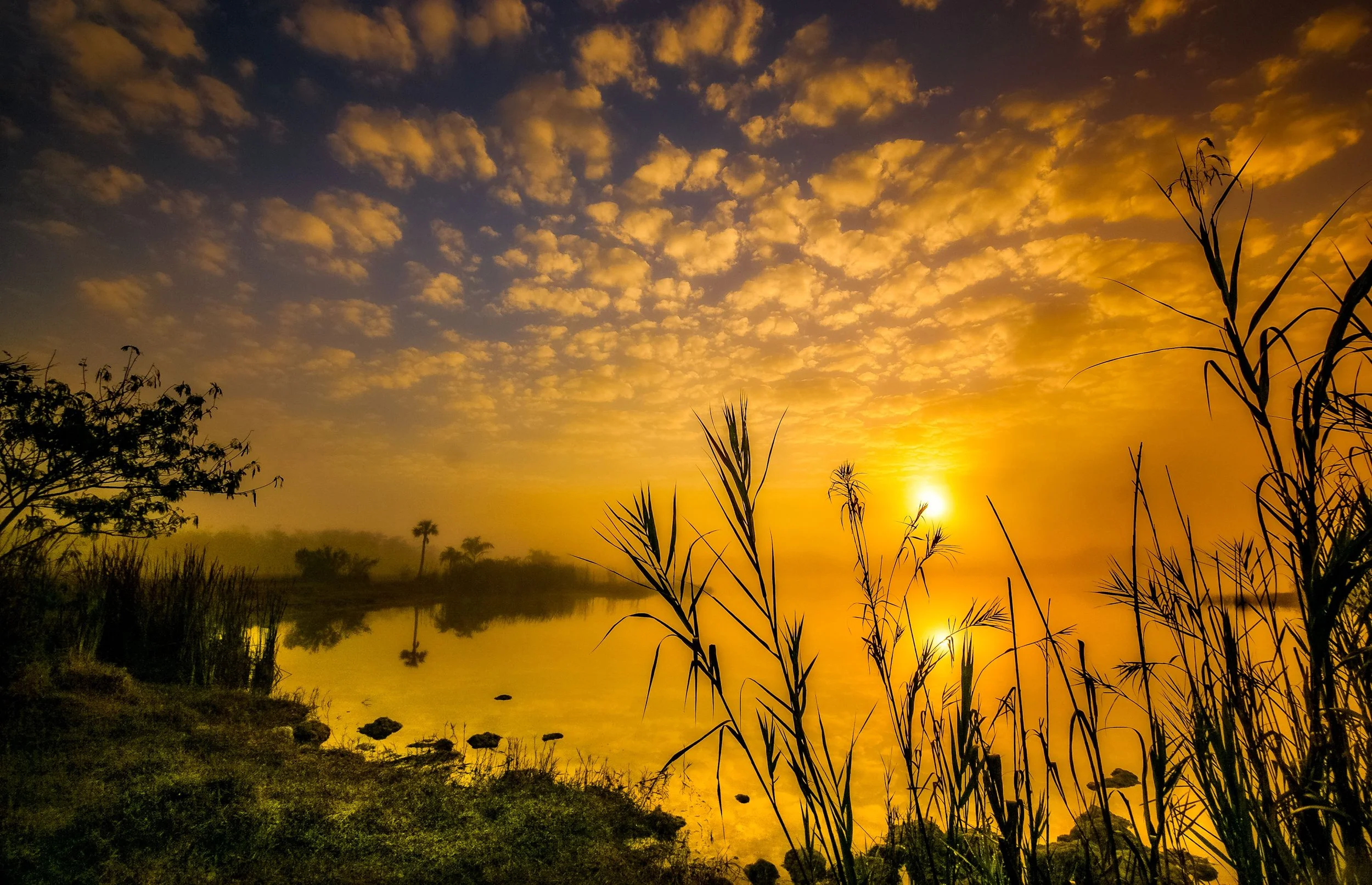 The Power of Small Moments: How a 30-Second Practice Can Transform Your Day and the World