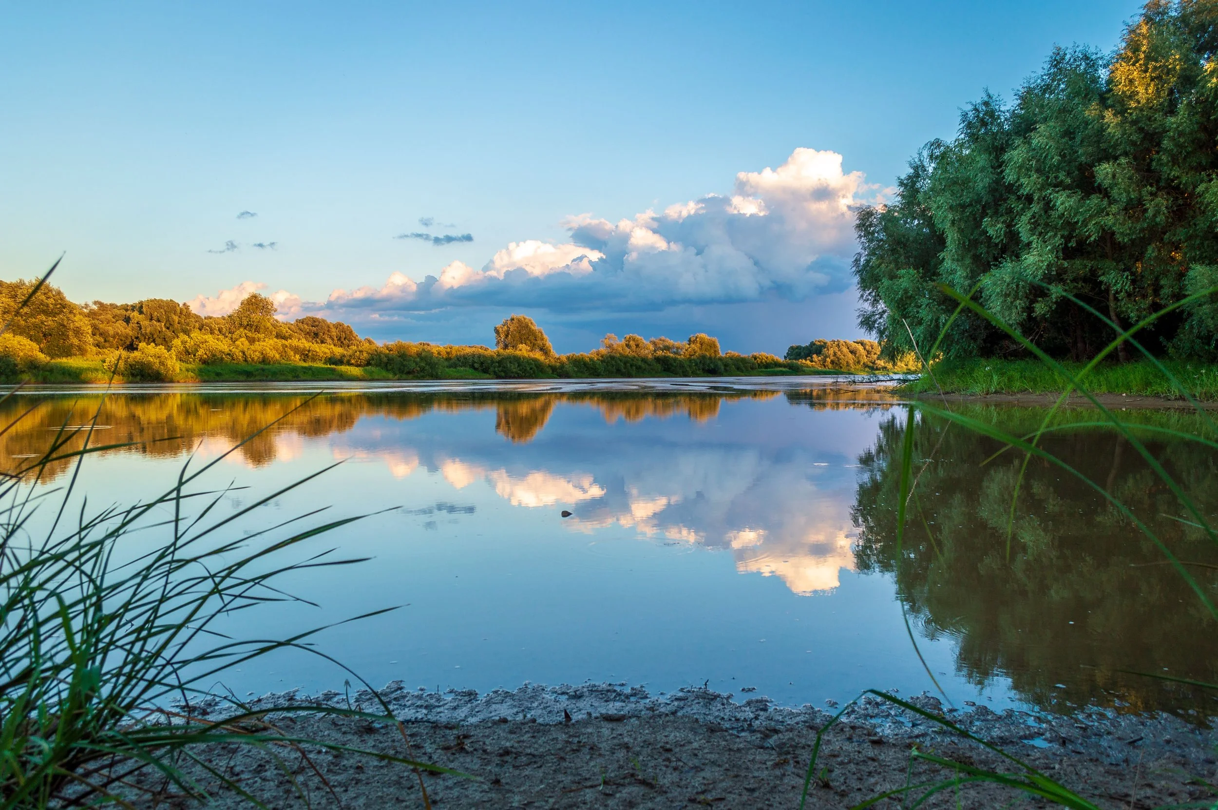 Beauty Is Not a Luxury: How Noticing Beauty Deepens Faith and Builds Resilience