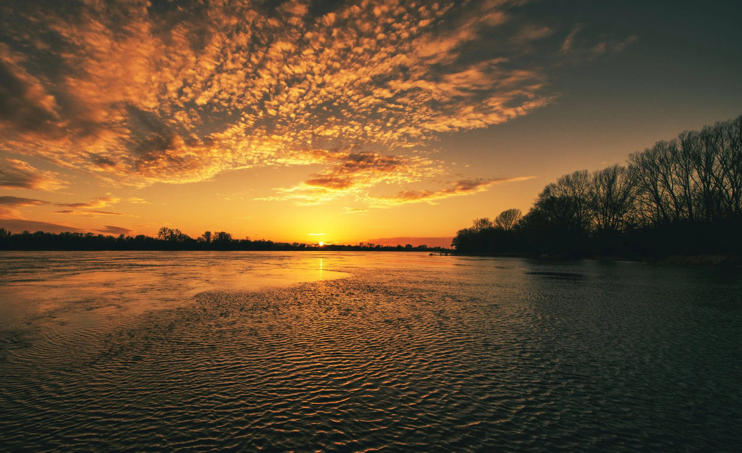 Embracing Movement in Prayer: Expanding How We Connect with God