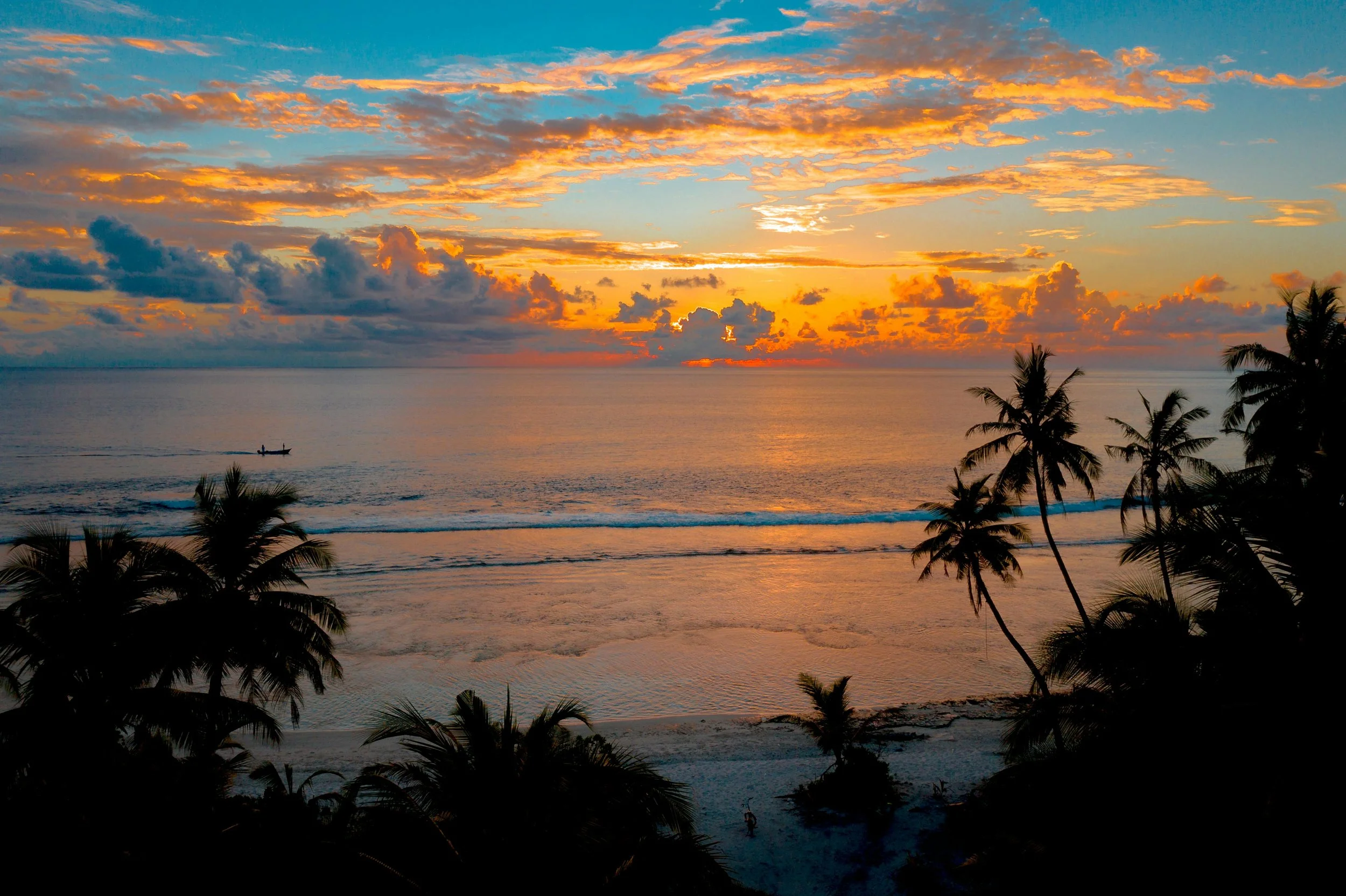 A breathtaking tropical sunset over the ocean, with golden and orange clouds reflecting on the water. Silhouettes of palm trees frame the scene, while gentle waves roll onto the sandy beach, creating a peaceful and romantic atmosphere.