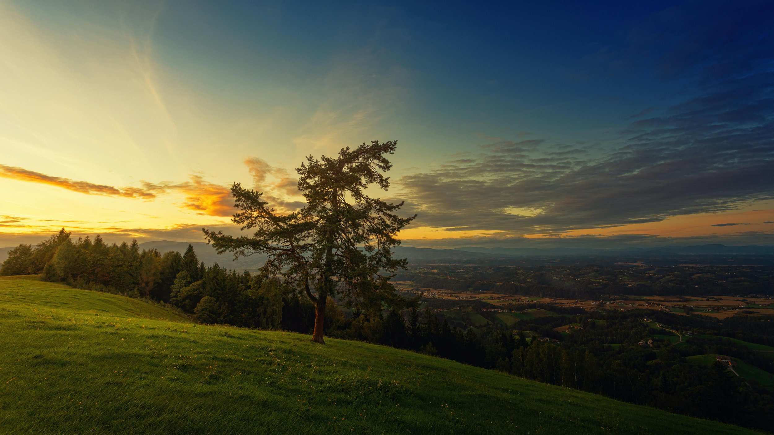 A lone tree stands tall on a hillside as the sun sets, overlooking a vast valley below. The glowing sky and rolling fields capture peace, grounding, and nourishment from creation.