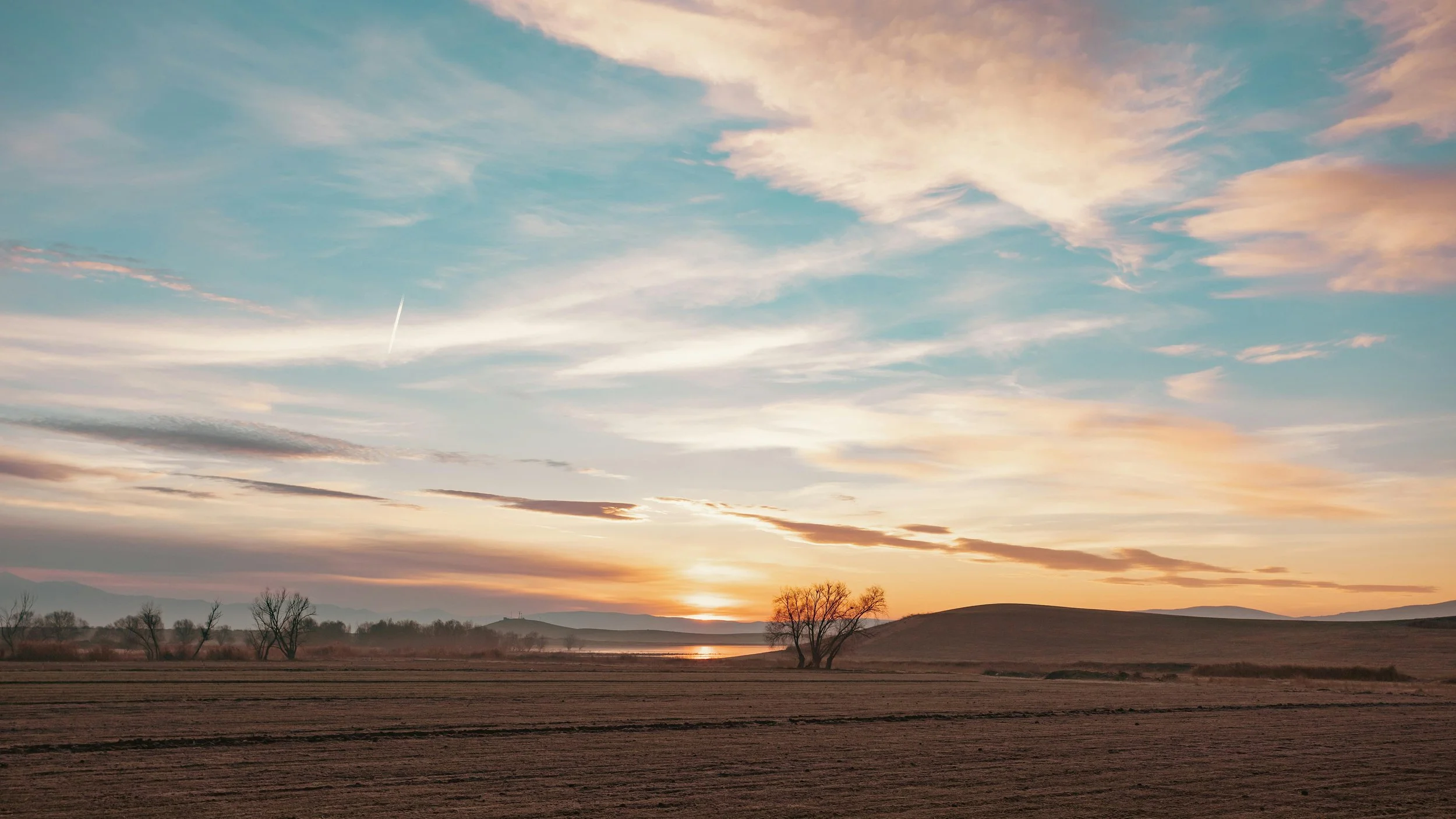 A soft pastel sunrise with streaks of clouds across the sky, glowing behind a cluster of bare trees in an open field. A scene of quiet beauty and nourishment for the soul.