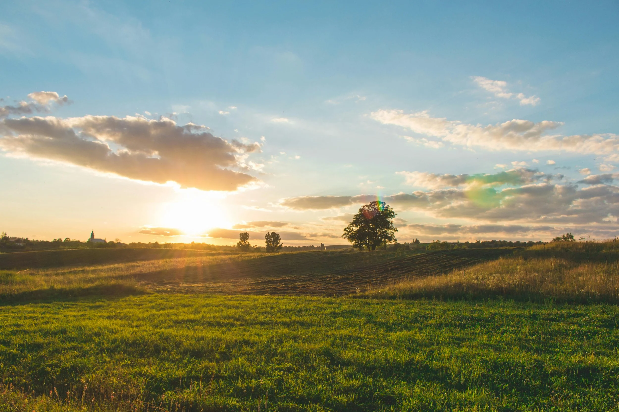 A golden sunset shines over a wide green field, casting warm light across the grass and sky. A single tree stands tall, symbolizing grounding and nourishment in nature’s beauty.