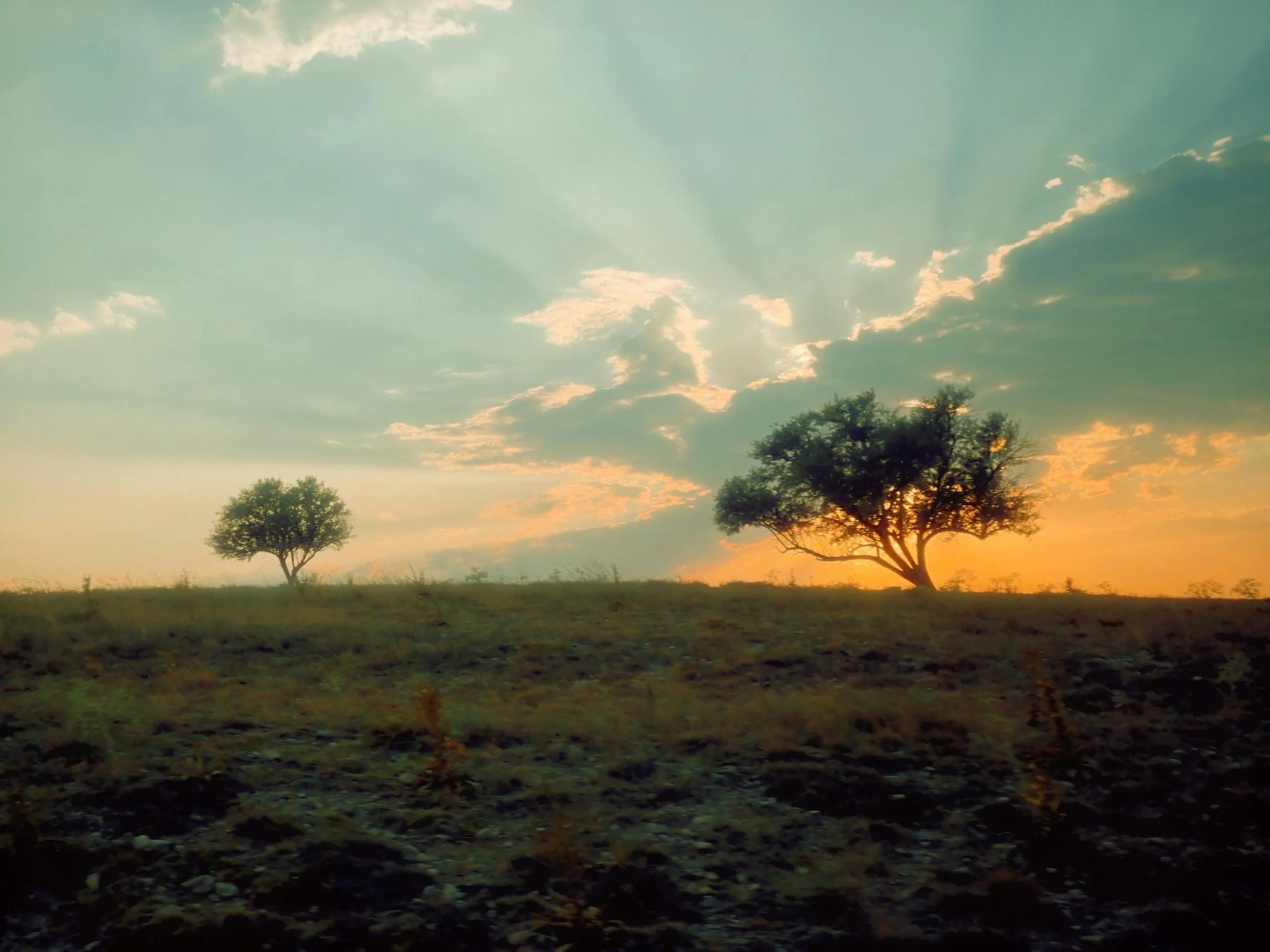Two trees stand on a quiet hillside as the sun sets, sending golden rays of light across the sky. The warm glow symbolizes nourishment, hope, and renewal from nature’s embrace.