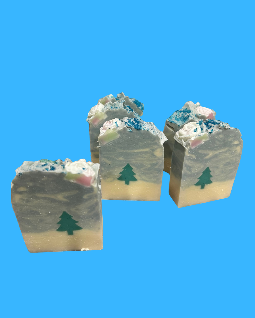 Evergreen Forest