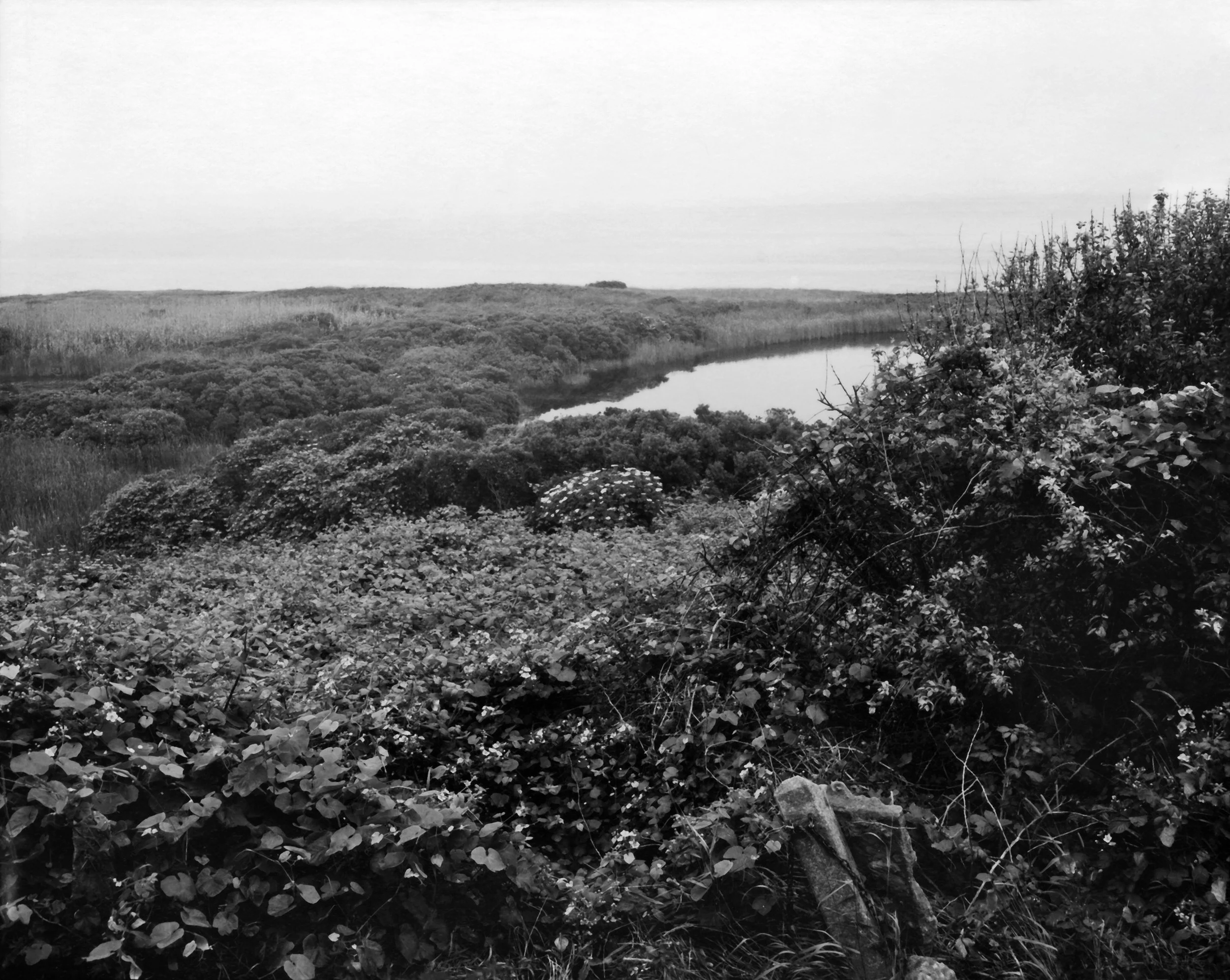 Block Island Pond.jpg