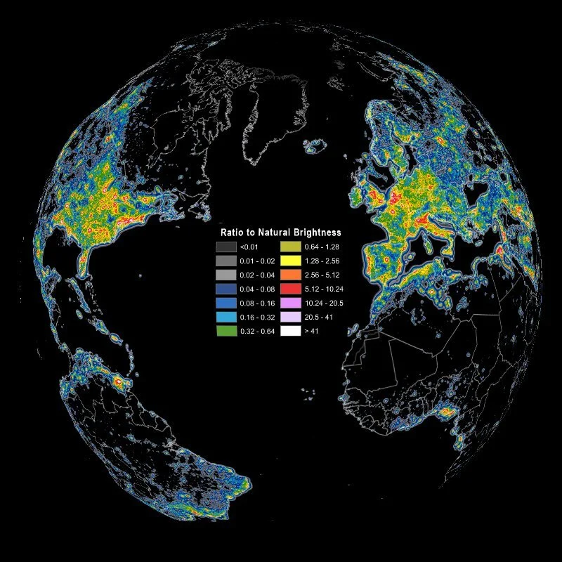 Birds Across the World are Singing All Day for a Disturbing Reason
