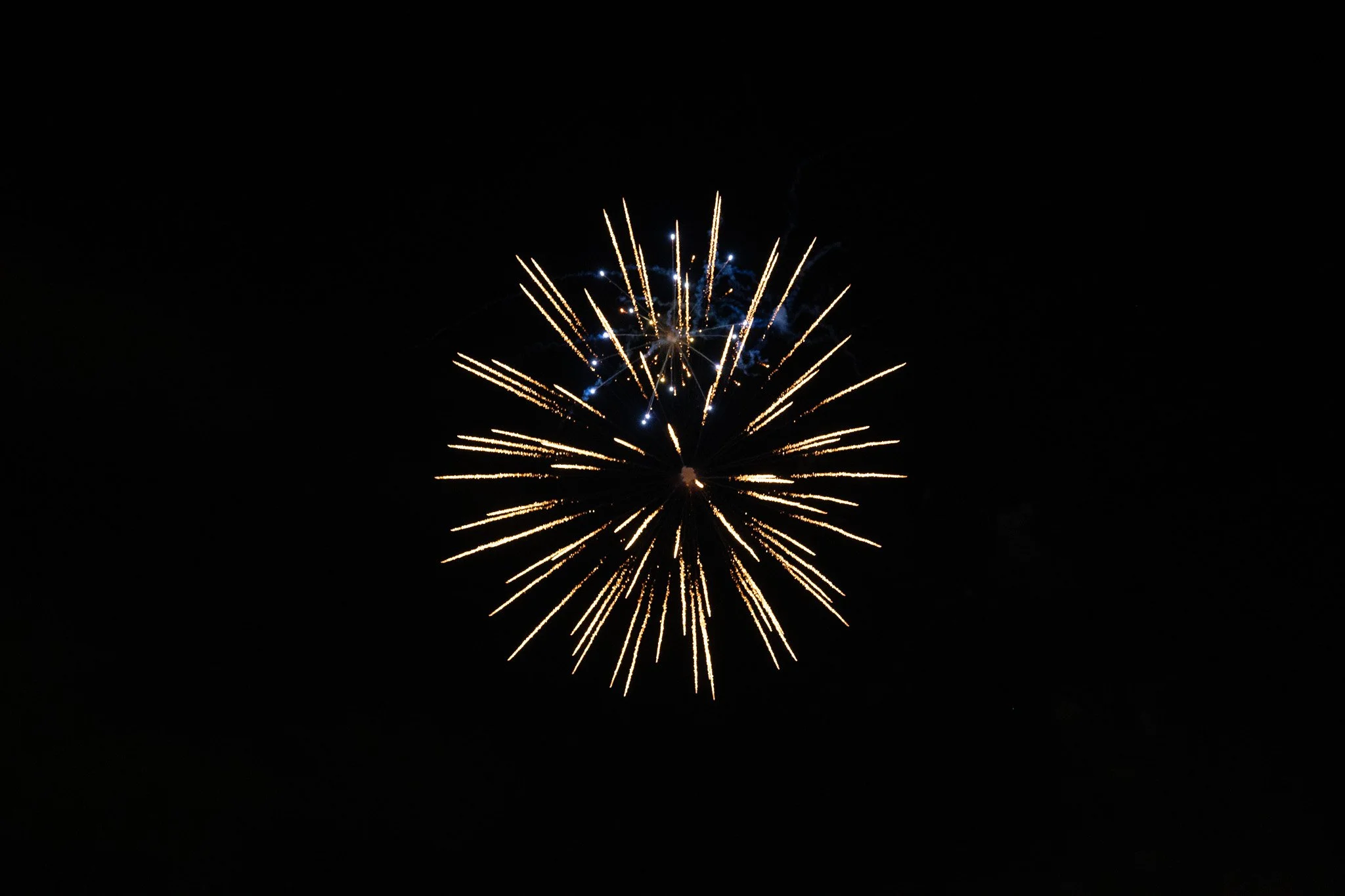 DSC07231.jpg