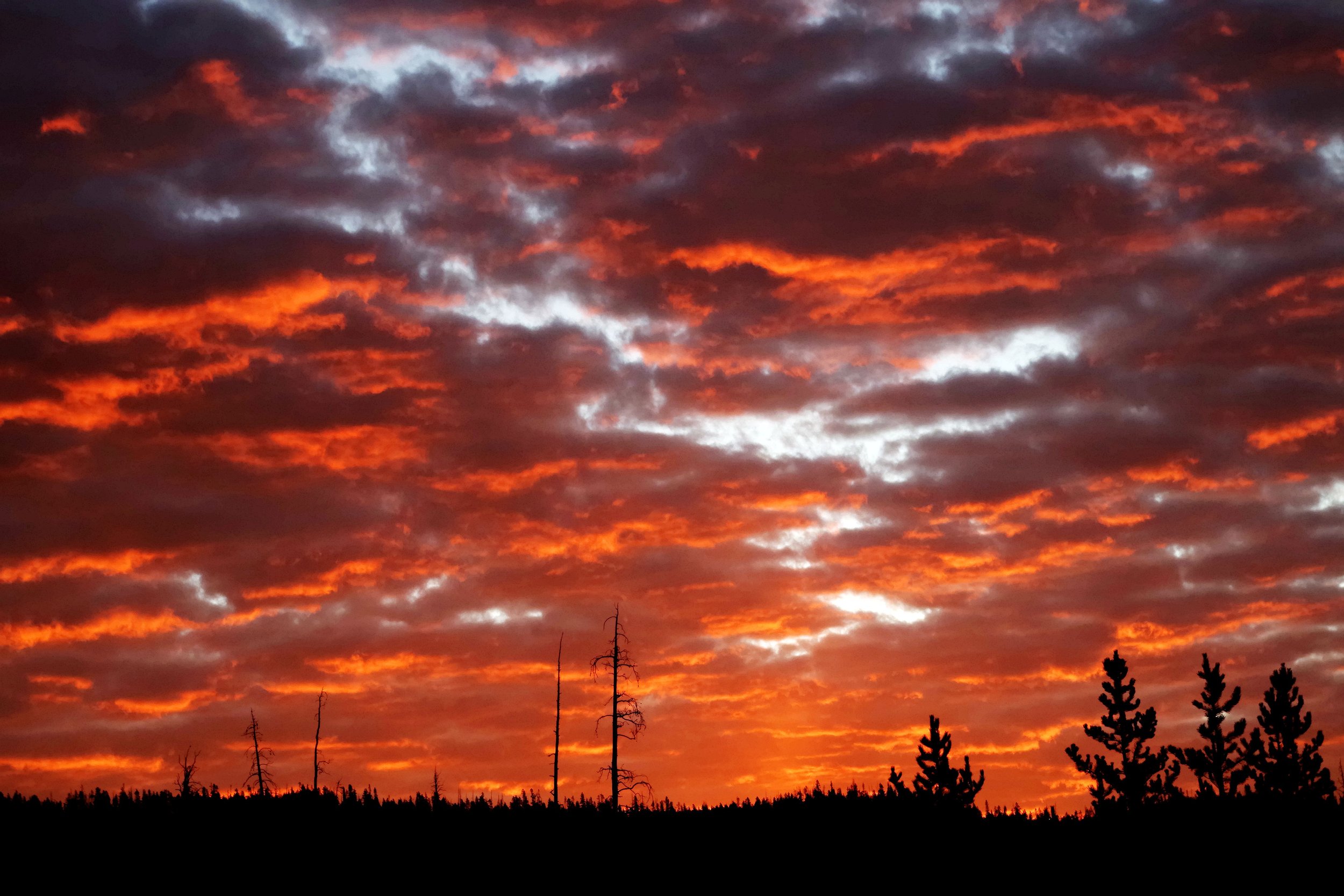 Yellowstone sunrise 2.jpg