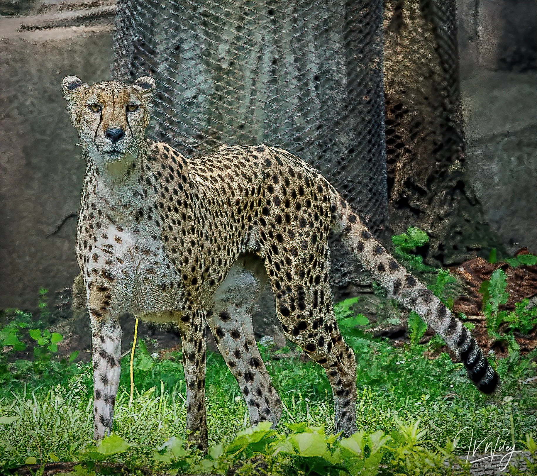 © John Wiley