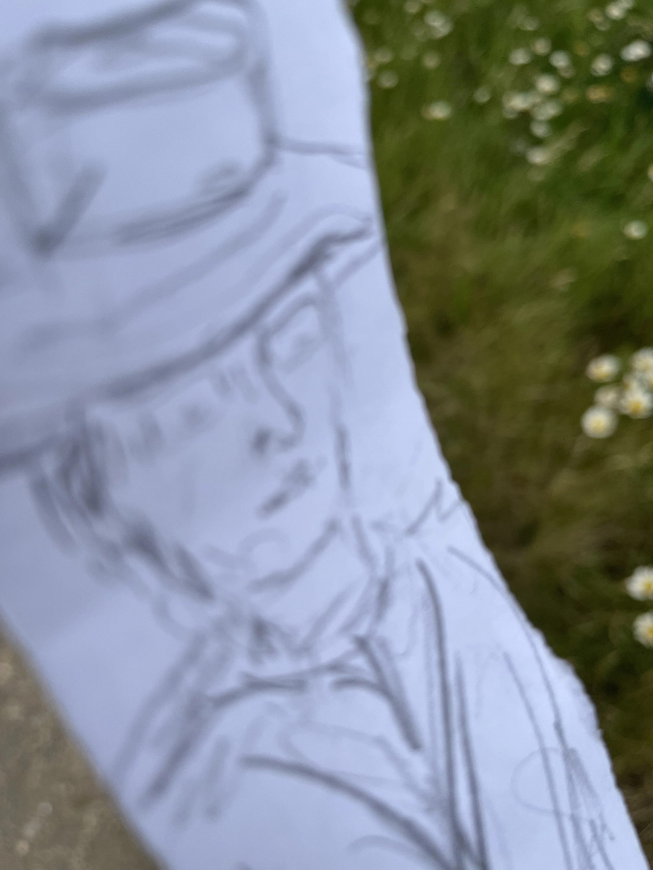 IMG_2112.jpeg