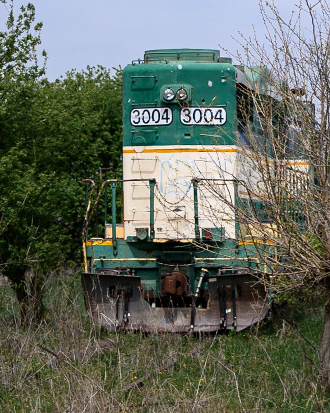 A weathered green and white locomotive front stands partially obscured by brush and small trees, its faded paint and worn metal showing age and disuse. The train sits quietly against a pale sky, creating a sense of abandonment and forgotten railway h