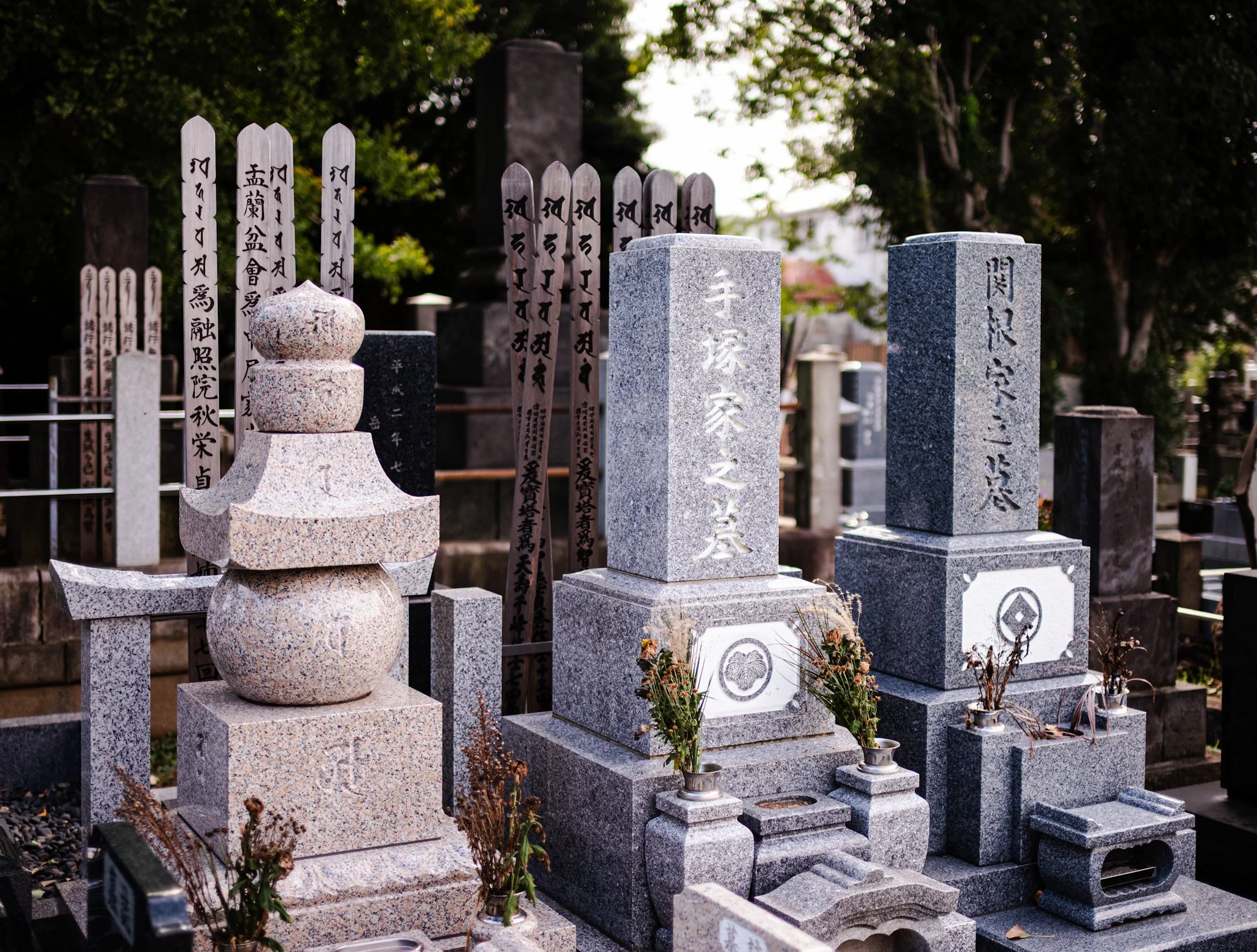 Daytime view of a Japanese cemetery with rows of gray and black stone gravestones engraved with vertical inscriptions. Some graves have small flower offerings and metal holders, while wooden memorial tablets with handwritten calligraphy stand behind 