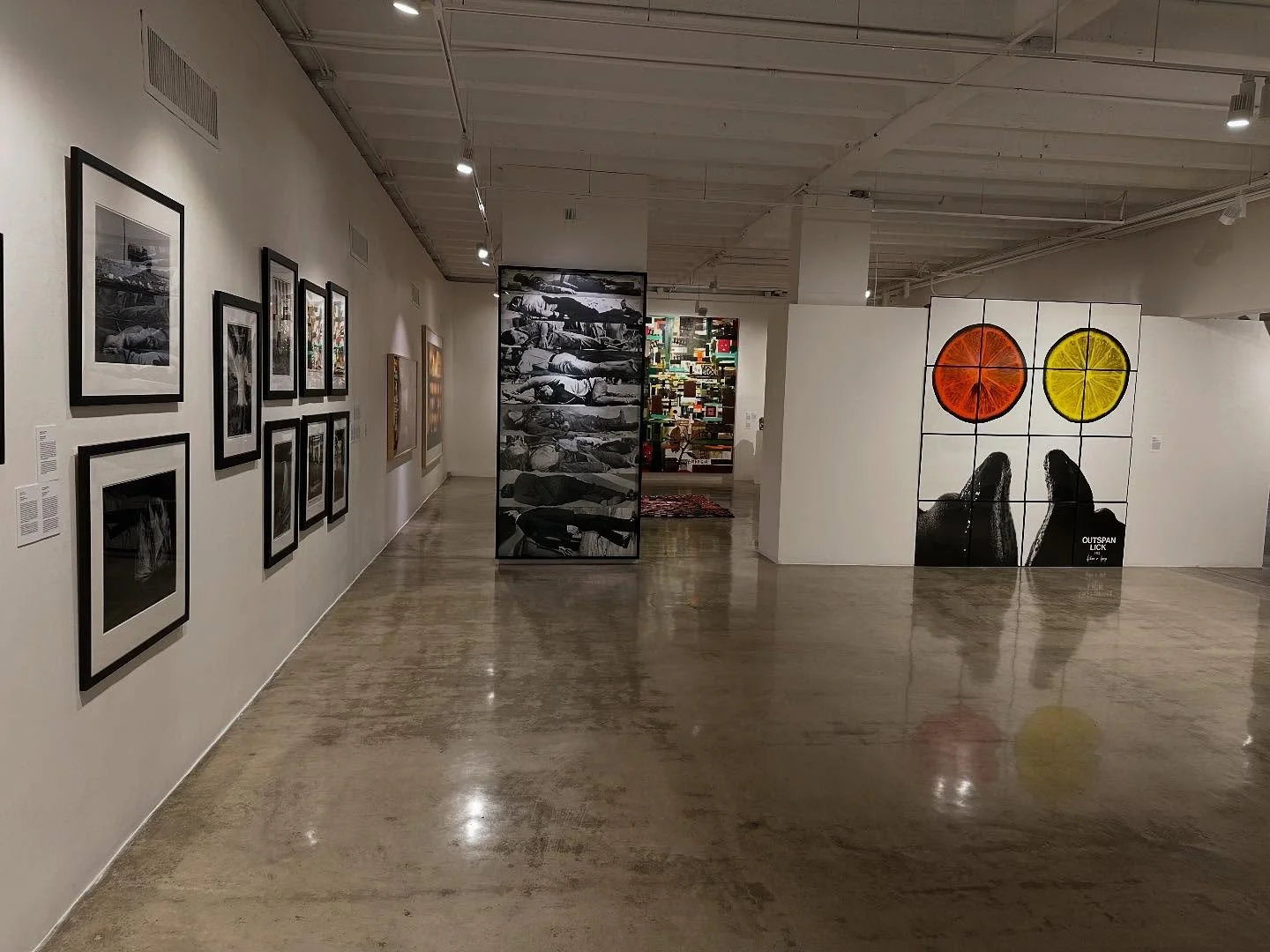 You&rsquo;re Invited! 📸 🖼️ 

Please join us this Sunday, August 24, from 2:00&ndash;4:00 PM for a Director + Artist Walkthrough of Thru the Lens: Photographic Art from The Frederick R. Weisman Art Foundation at the Ronald H. Silverman Fine Arts Gal