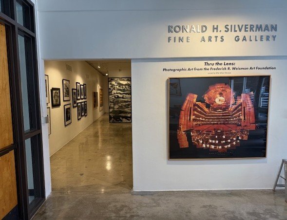  Rocky Schenck,  Jellyfish , 2000; Debbie Fleming Caffery,  Gator Guard , 2005; Debbie Fleming Caffery,  God Be With You , 2005; Robert Rauschenberg,  Tree 5-79-U-28A #2 , 1951-53, printed 1979-1981; Robert Rauschenberg,  Truck 10-81-A #1 , 1951-53, 