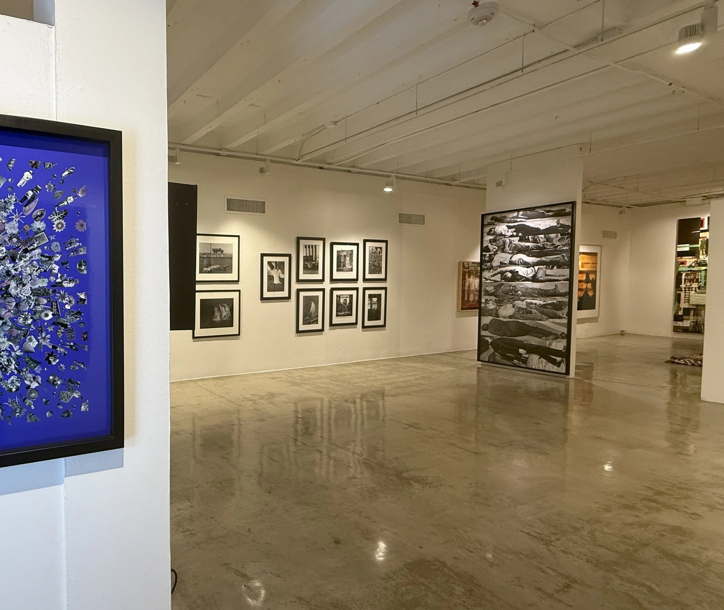  Carlos Betancourt,  Re-Collections VIII, Blue and Grey , 2010; Debbie Fleming Caffery,  Gator Guard , 2005; Debbie Fleming Caffery,  God Be With You , 2005; Robert Rauschenberg, Tree 5-79-U-28A #2, 1951-53, printed 1979-1981; Robert Rauschenberg, Tr