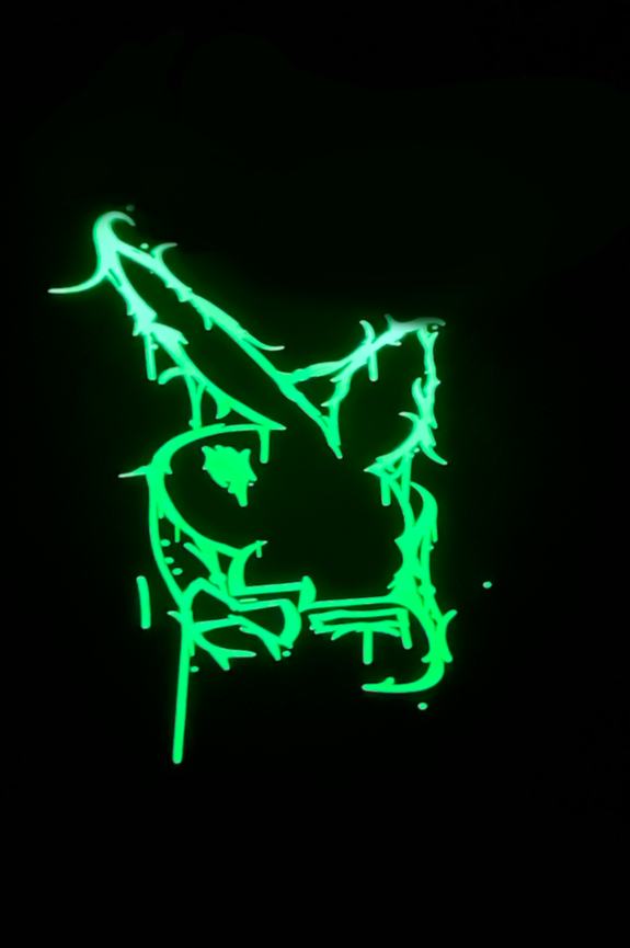 DIE YOUNG, LIVE FOREVER