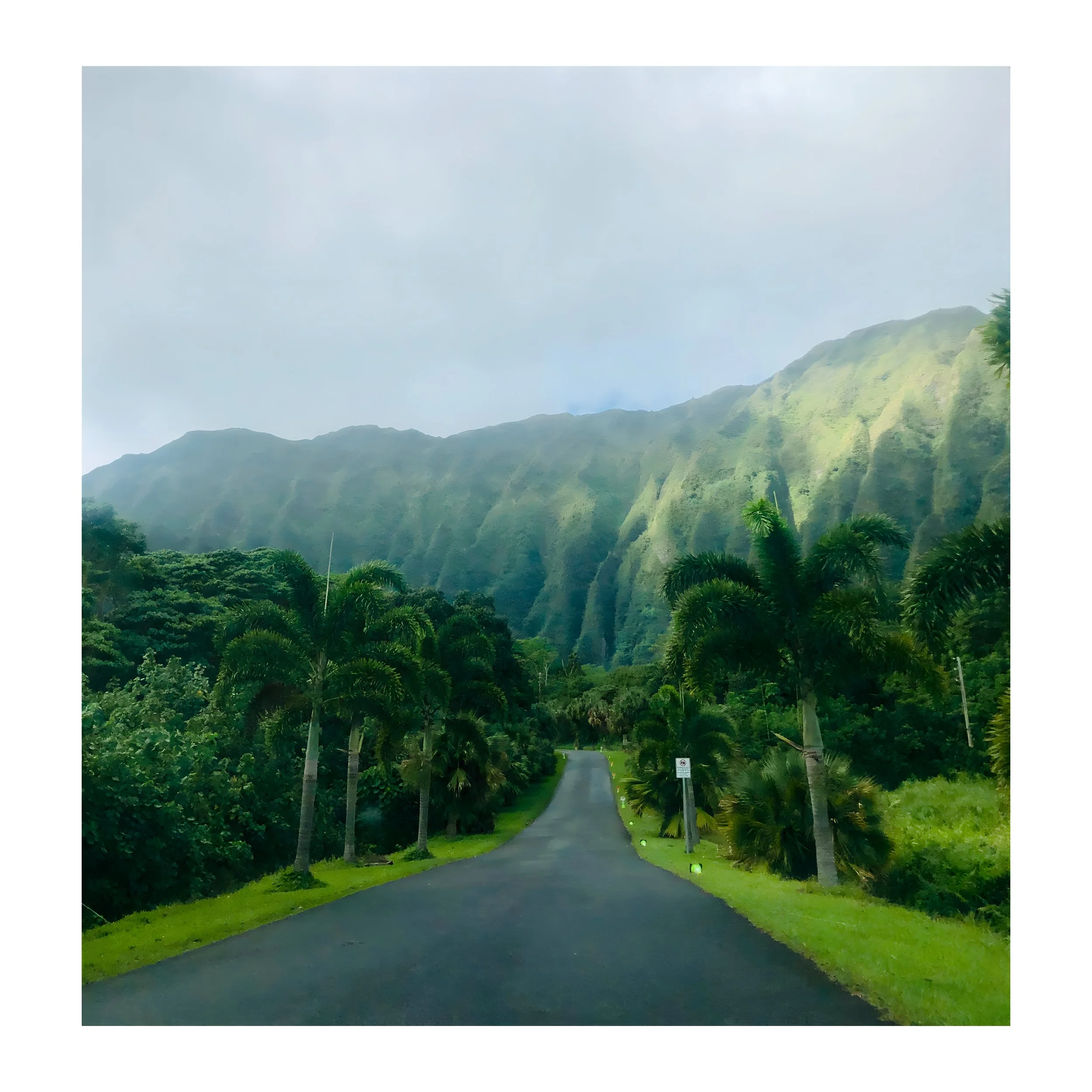 hawaii image.remini-enhanced.jpg