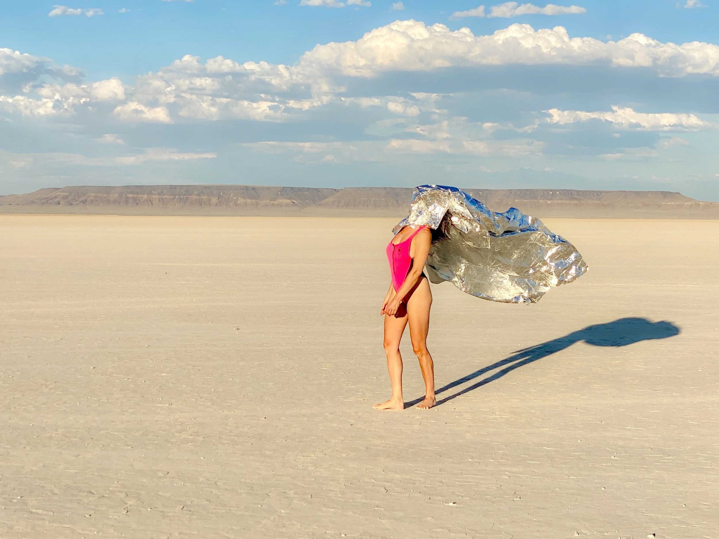Julia Alvord desert OR