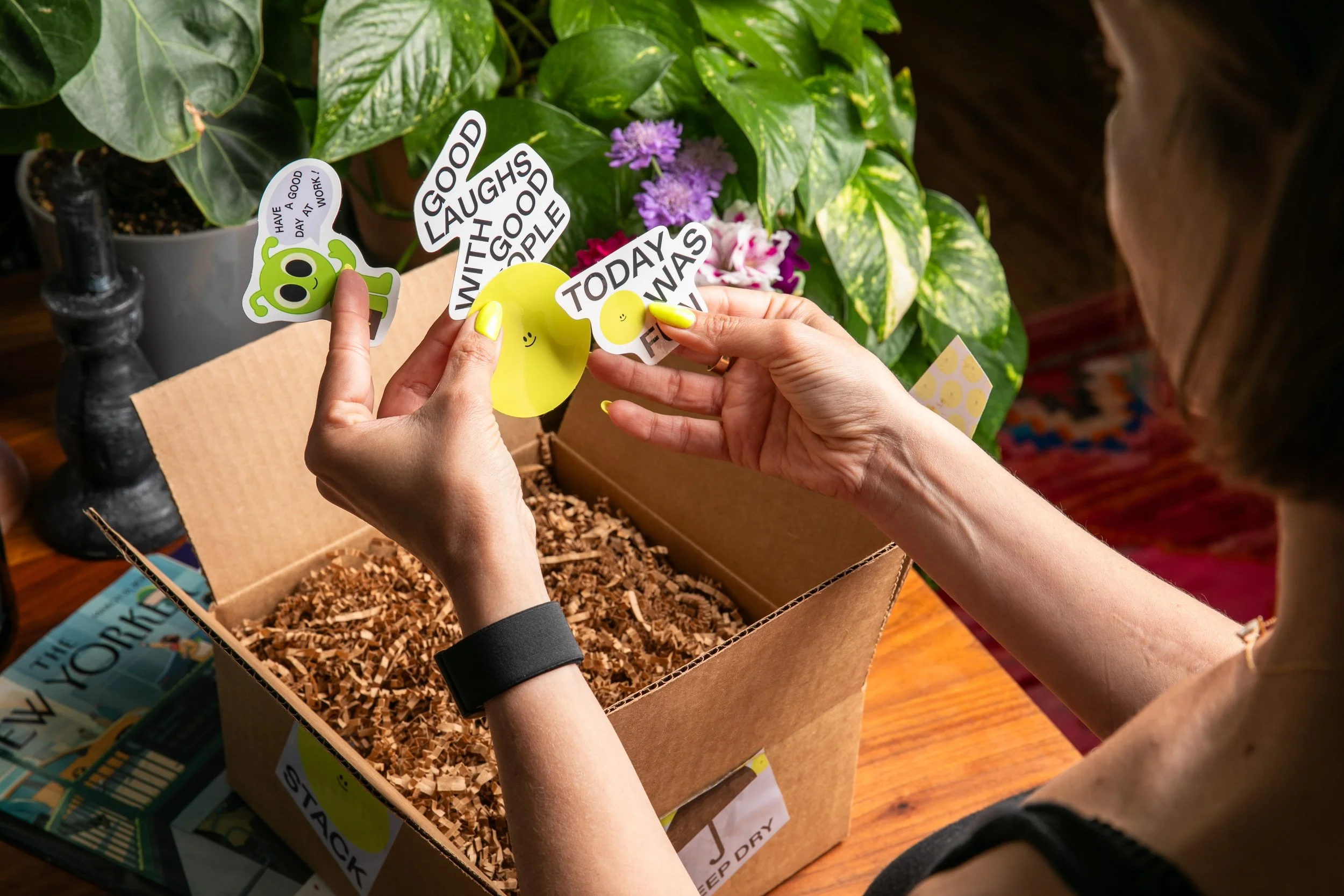 20250609_Dini_4070 (1).jpg