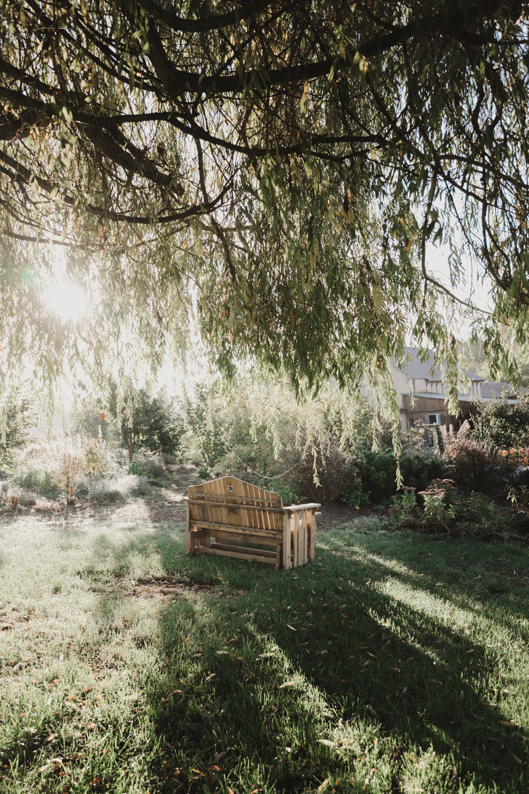 Morning Fog_0060.PNG