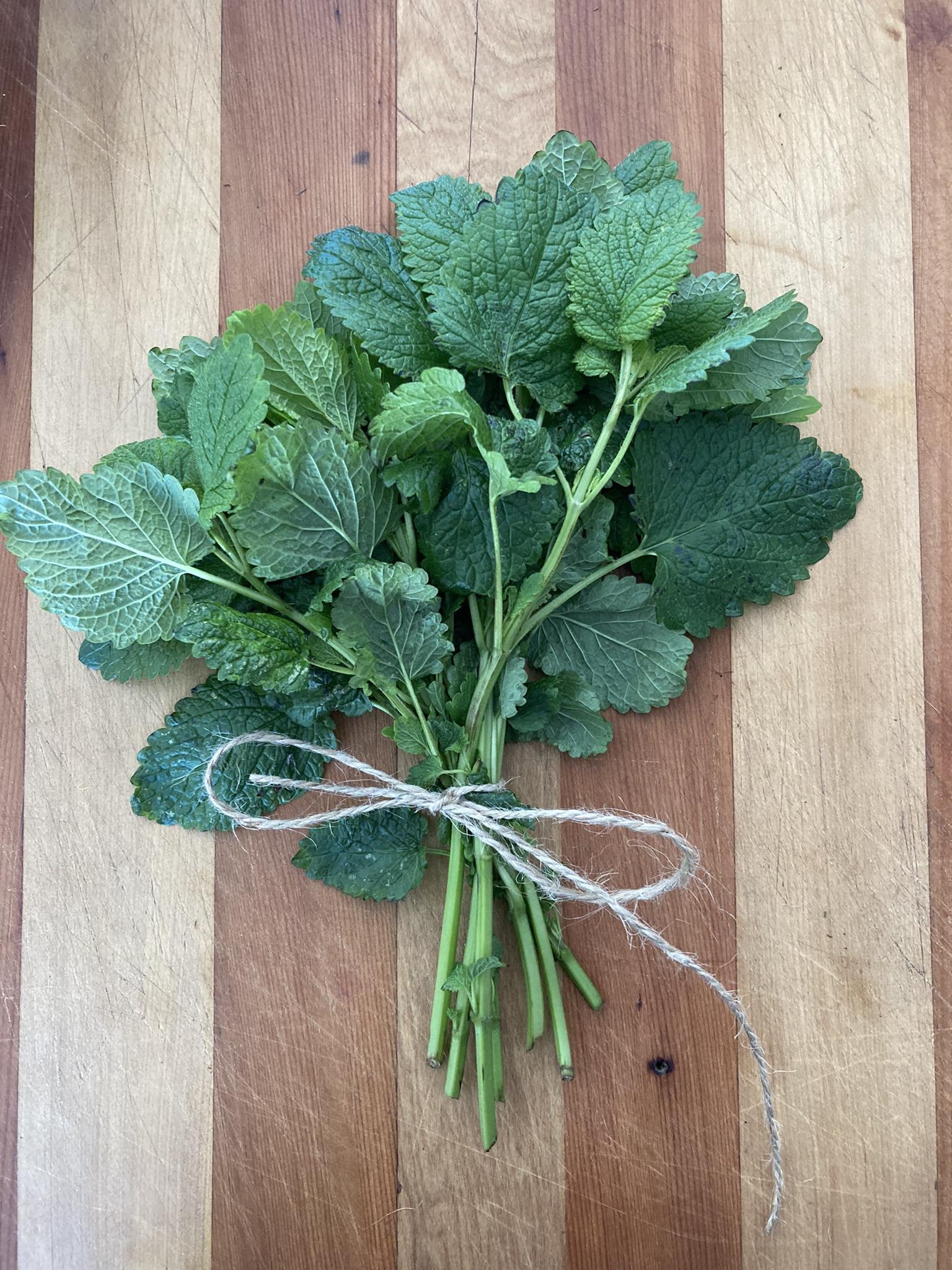 Lemon Balm bunch 20g