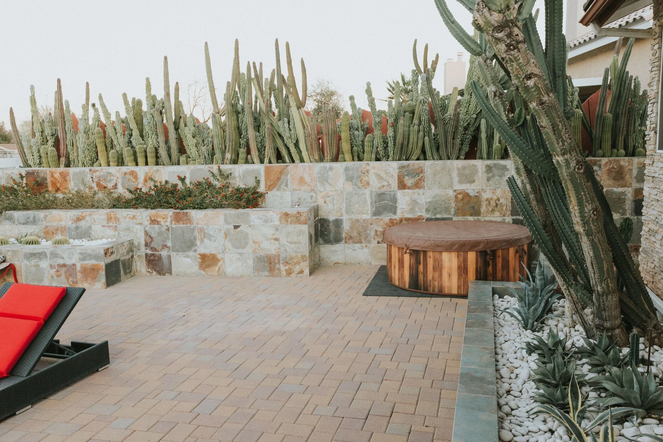 A backyard with a stone patio, desert plants including tall cacti, a stone wall, a bench with a red cushion, and part of a house with a gable roof.