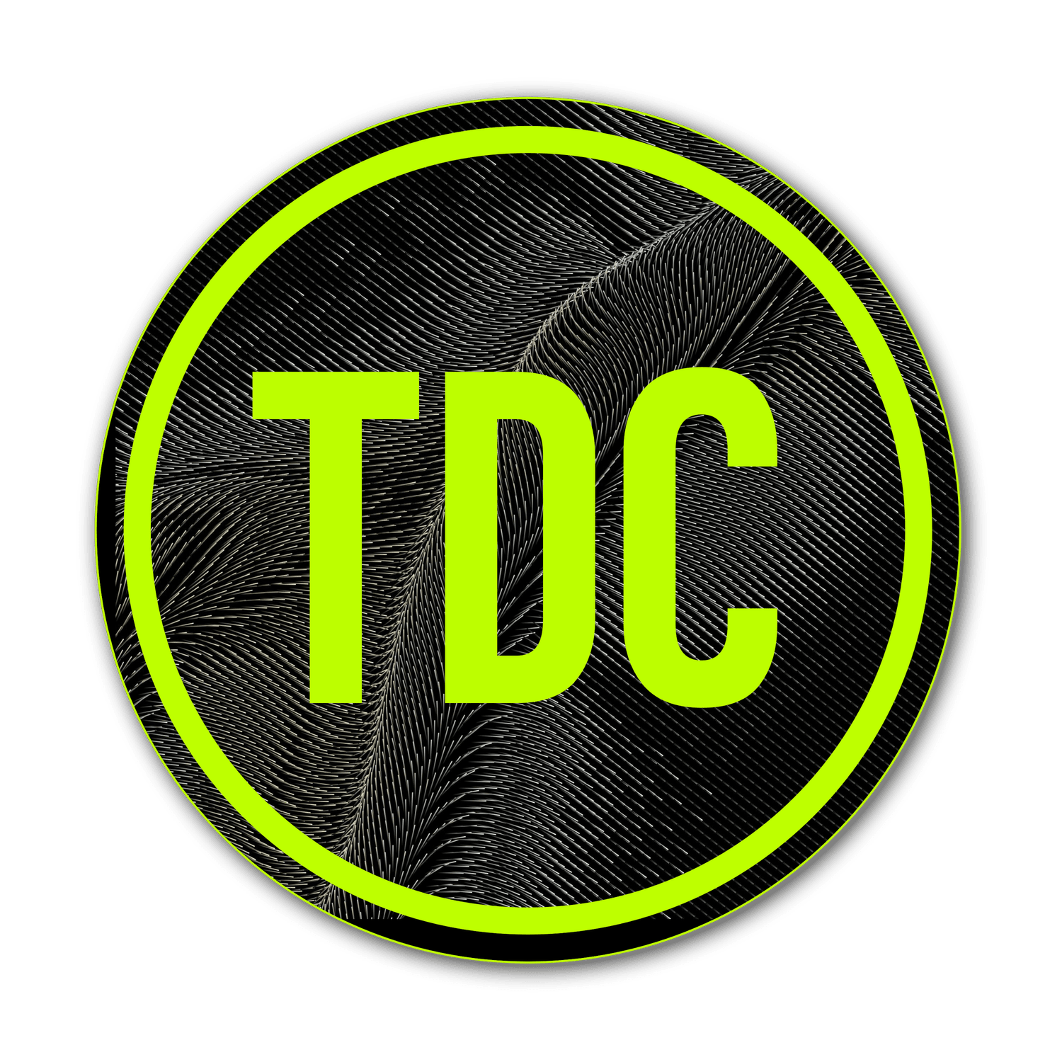 THE DYSTOPIAN COLLECTIVE