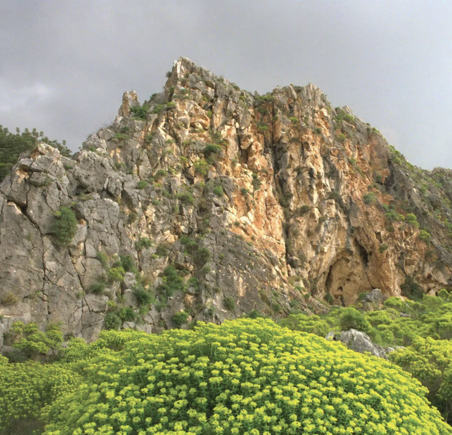 1 Kings 18:16–40. Idolatry and Elijah